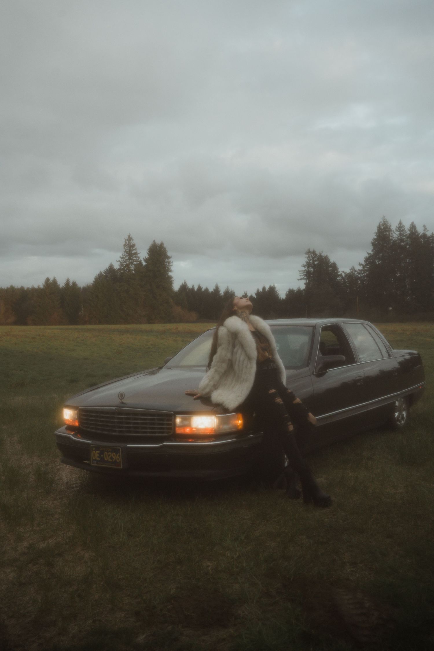 A dark vintage Cadillac sedan parked in a misty field at dusk with evergreen trees in the background.