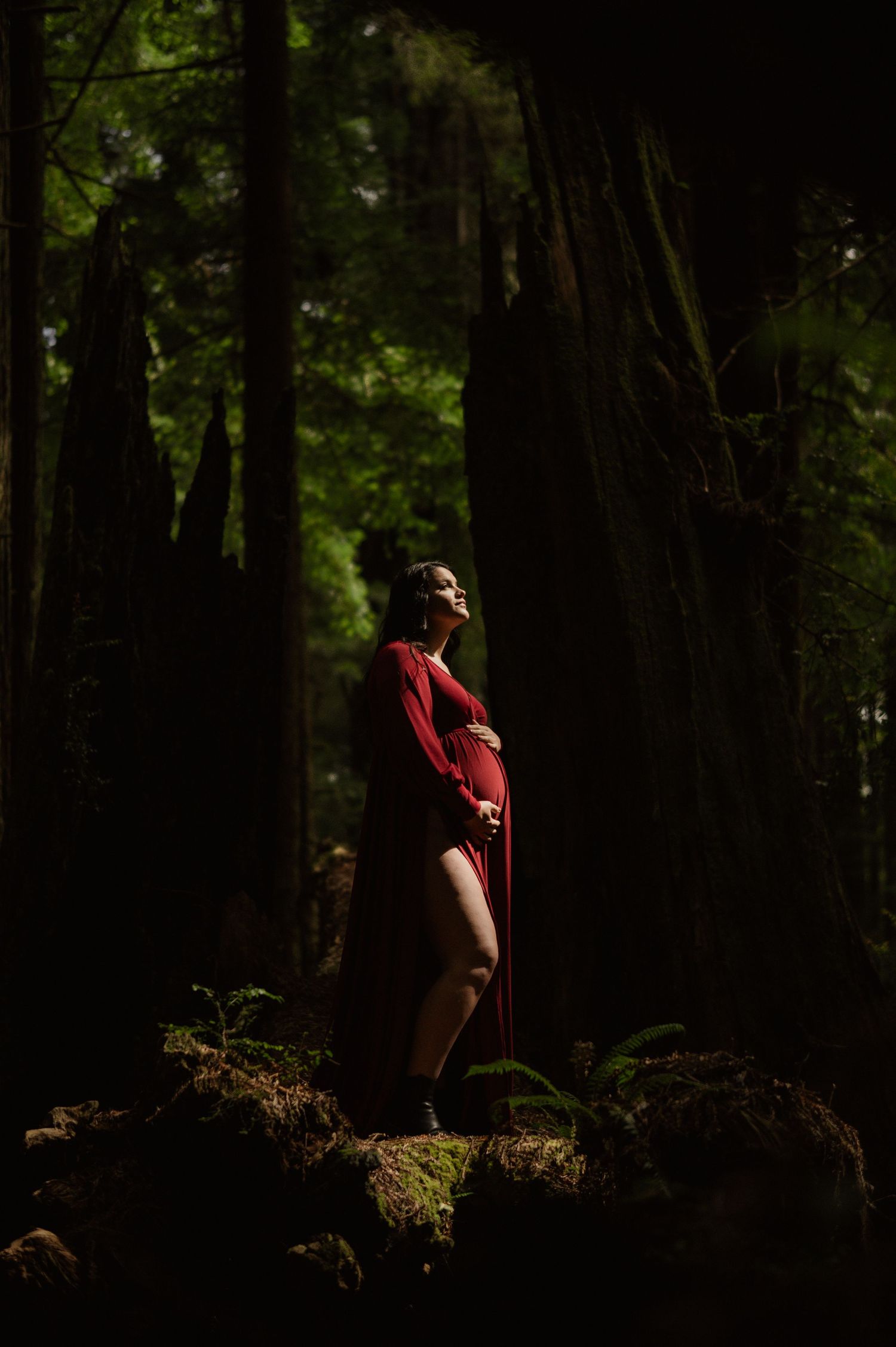 A silhouette in a red dress stands on mossy rocks in a dark moody forest setting.