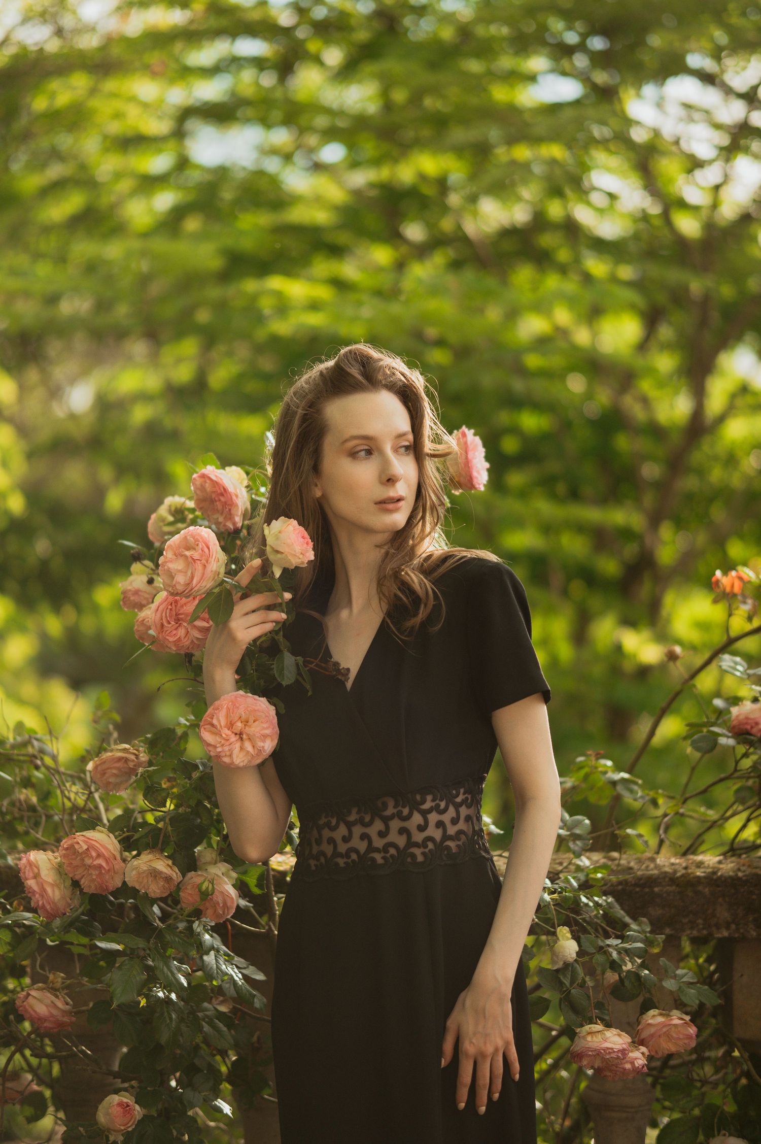 A woman in a black dress stands among blooming peach roses in a garden during golden hour lighting.