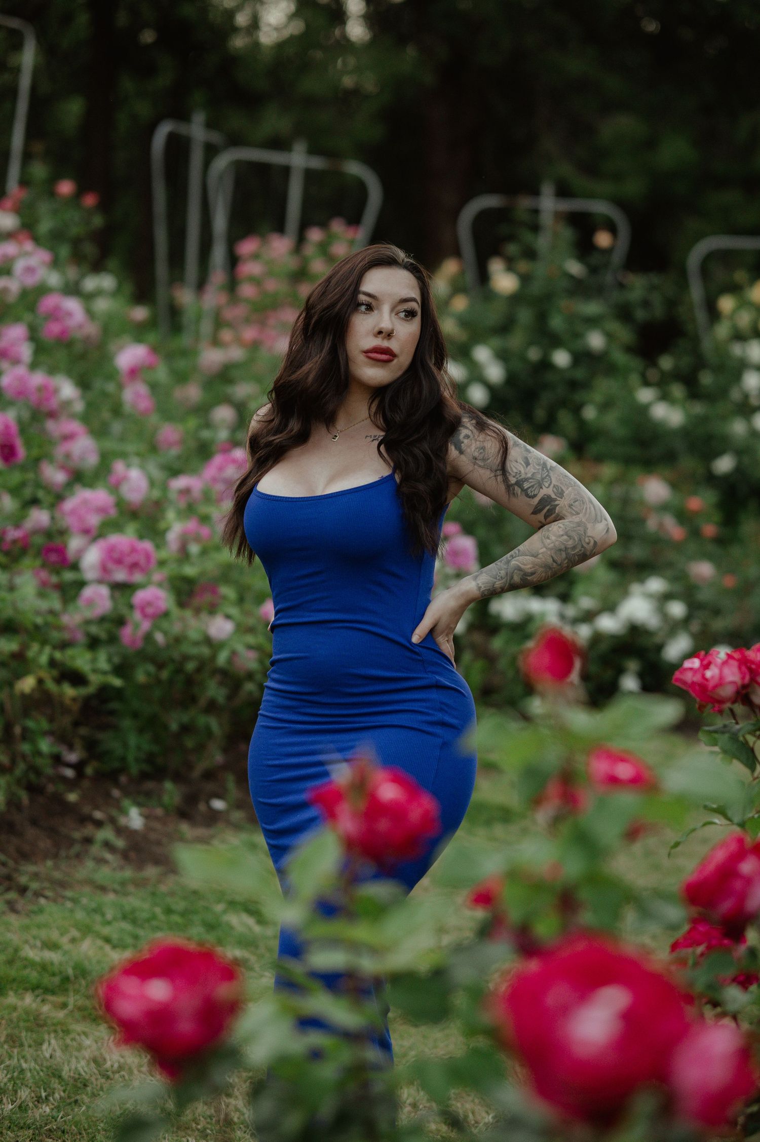 Person in royal blue fitted dress poses elegantly in a garden surrounded by blooming pink and red roses.