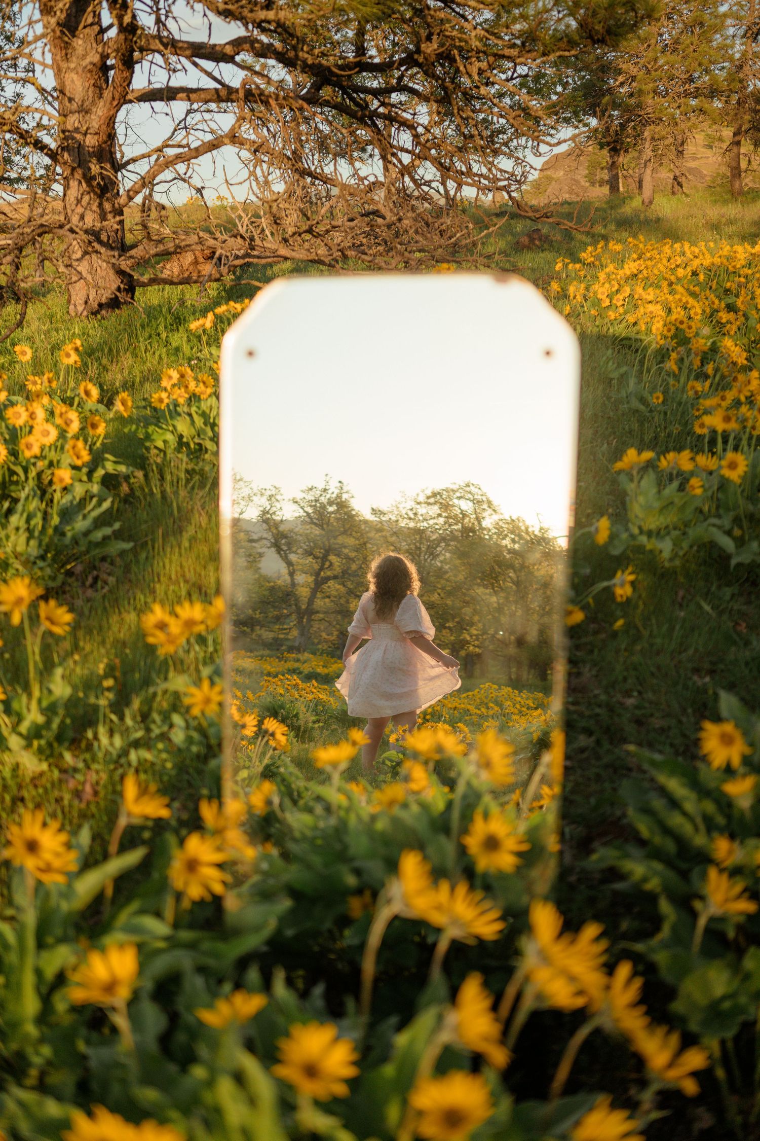 Mirror reflection in field of yellow flowers captures ethereal scene at sunset.