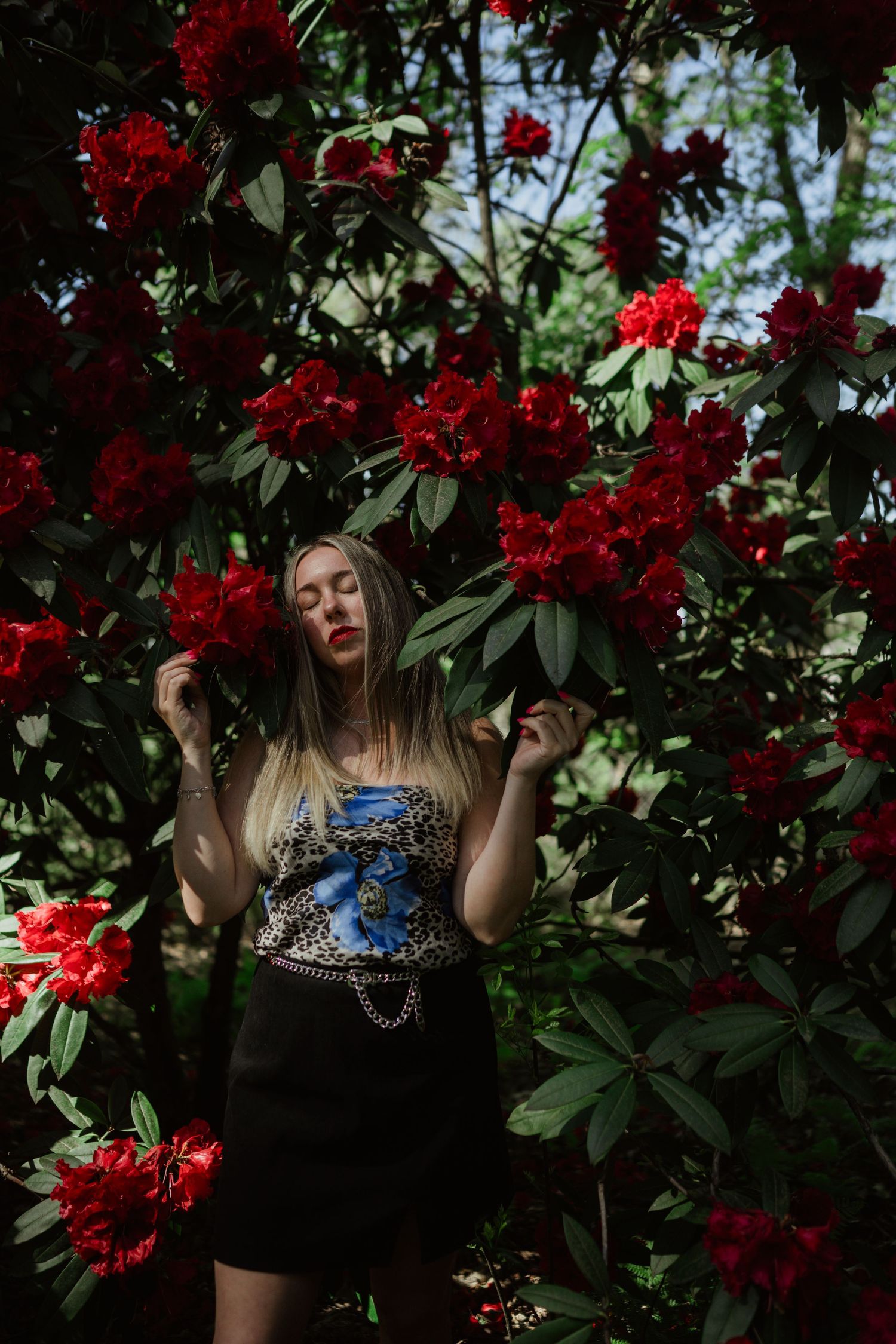 An artistic portrait surrounded by vibrant red flowers and dark green foliage.