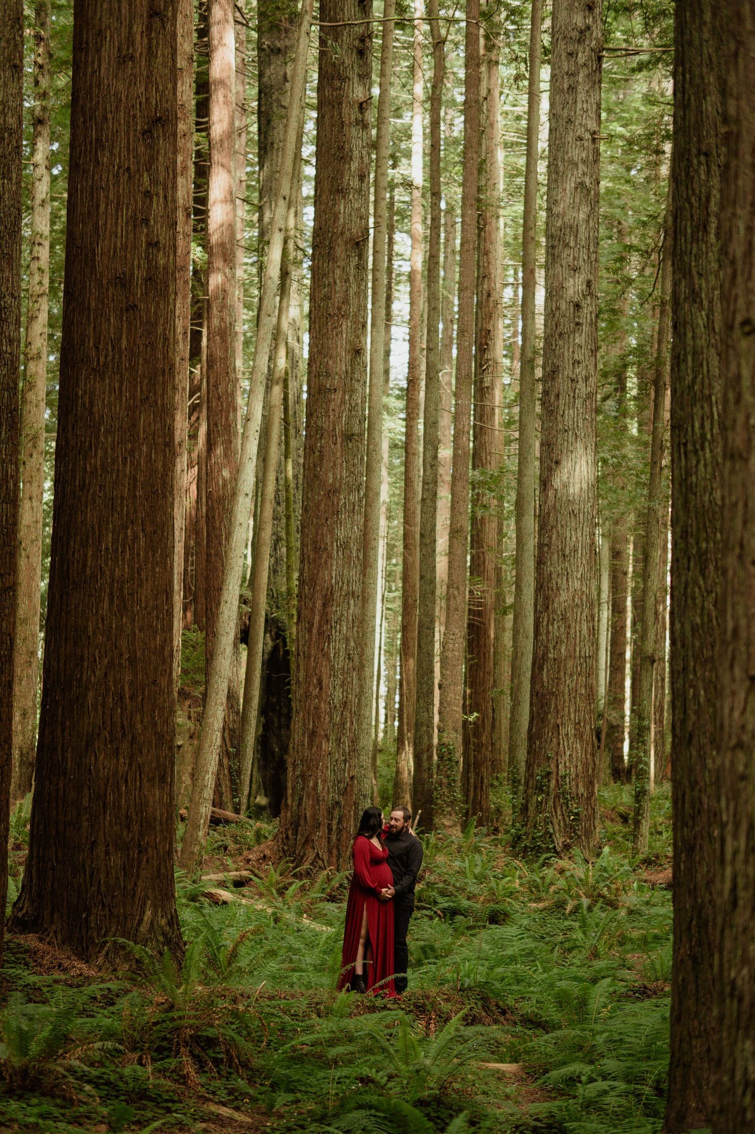Two people stand among towering old growth trees in a lush green forest filled with ferns and filtered sunlight.