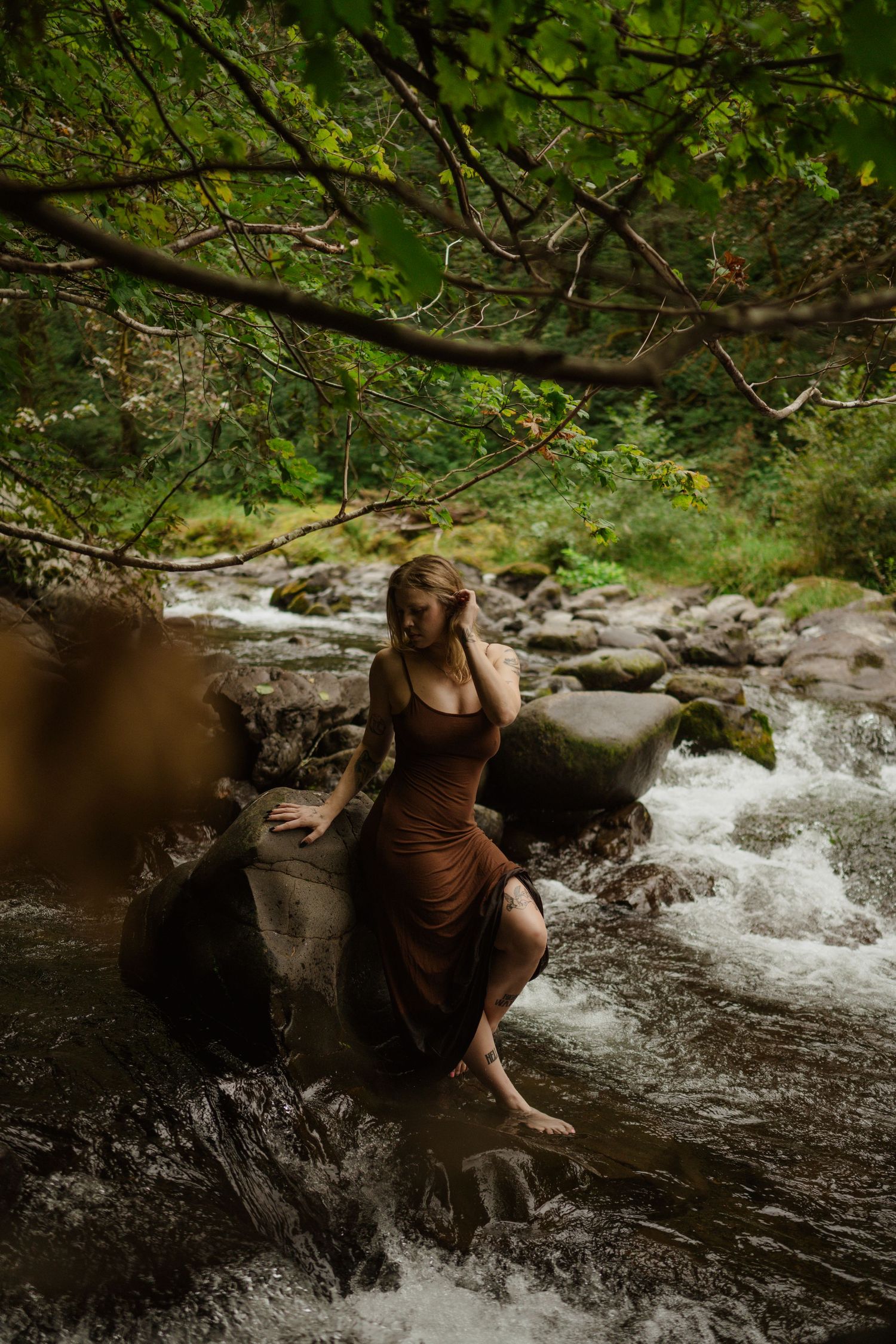 Atmospheric portrait on rock in flowing stream under forest canopy.