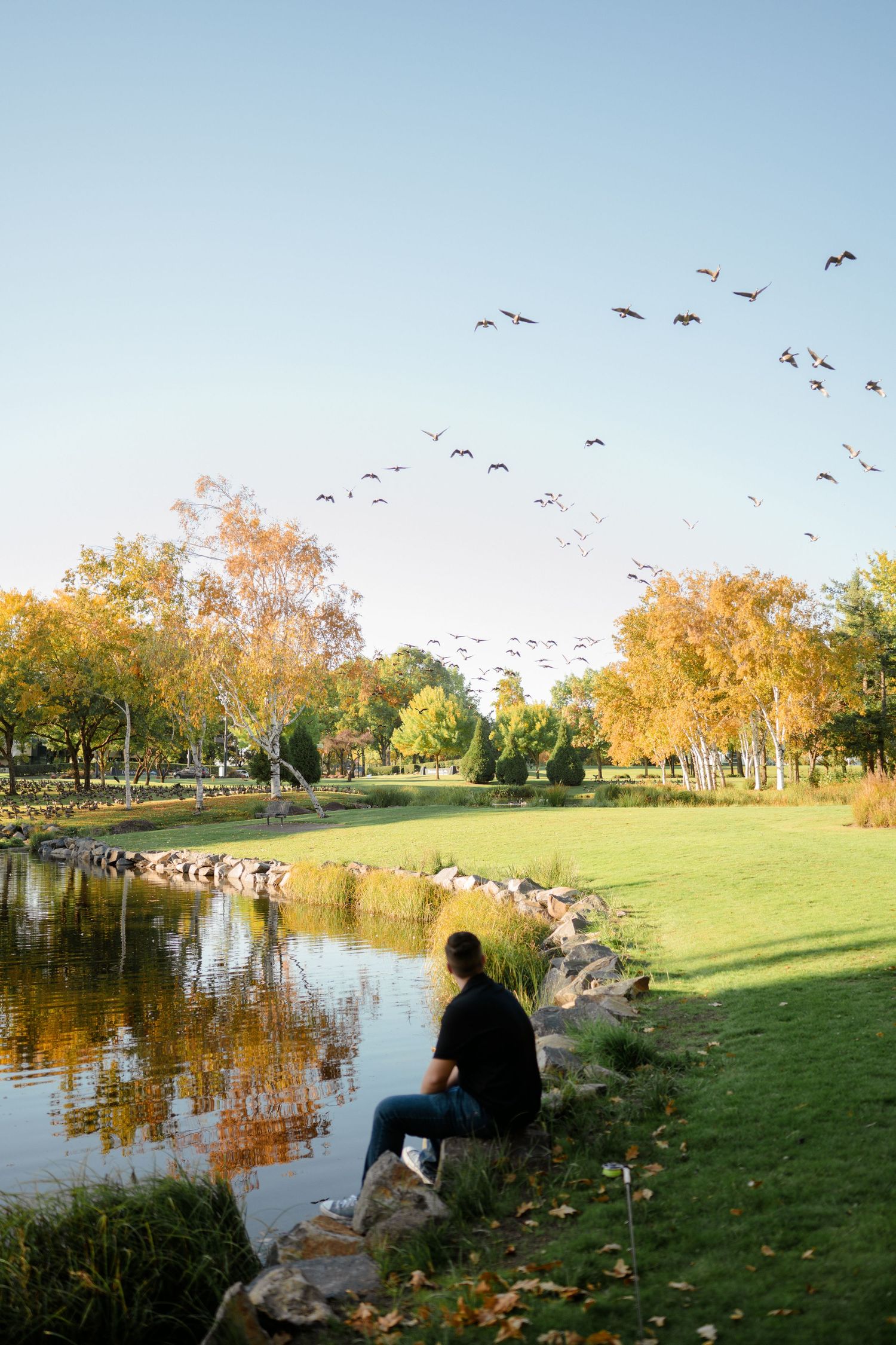 Silhouette of person sitting by pond as birds fly overhead during sunset.