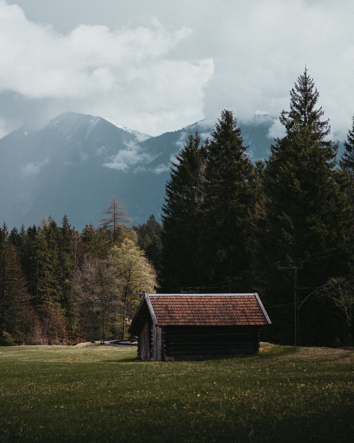 Rustic wooden cabin in a meadow with evergreen forest and misty mountains in the background.