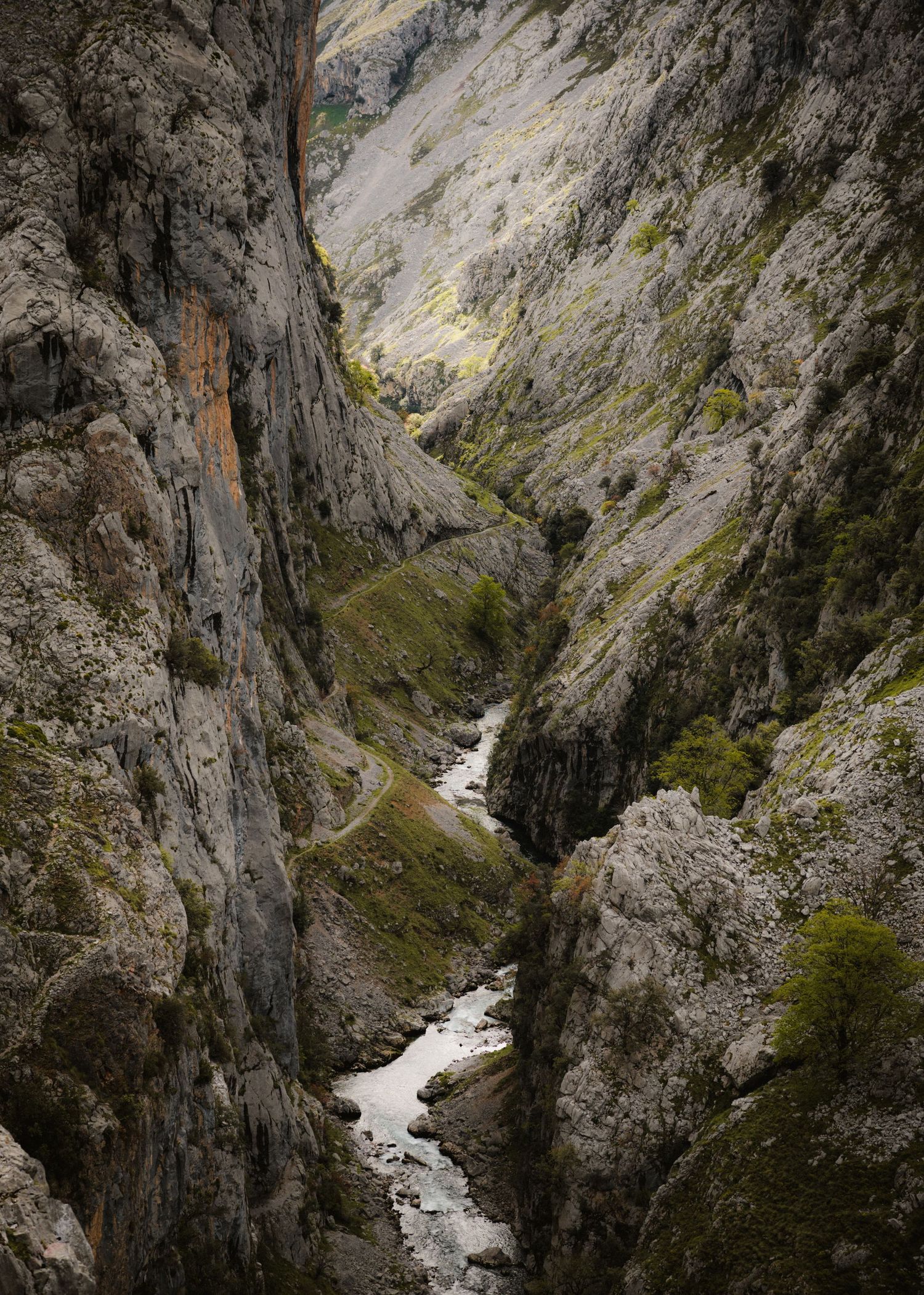 Dramatic rocky gorge with winding river and steep cliff walls in the mountains.