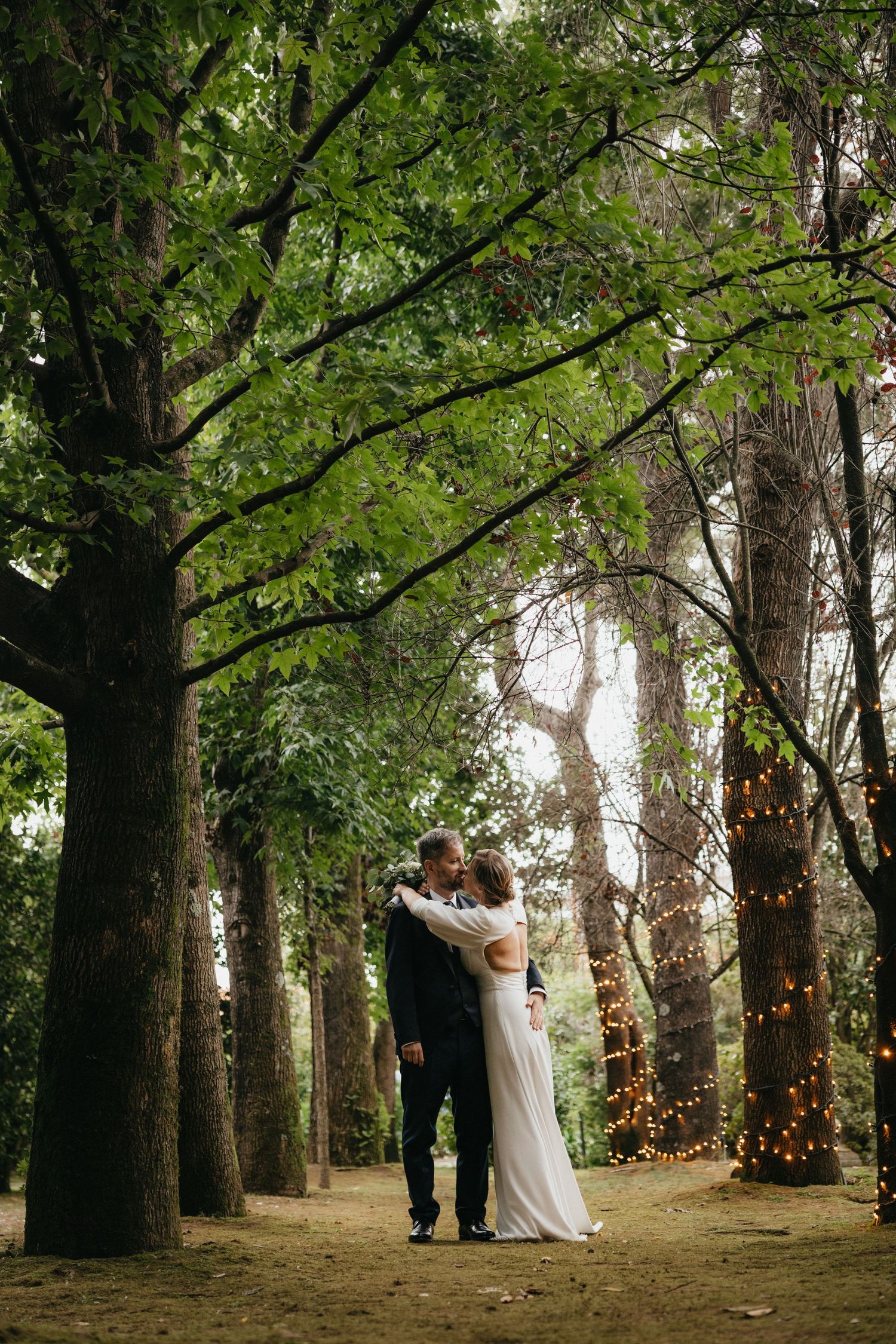 A couple embraces on a tree-lined path decorated with twinkling lights.