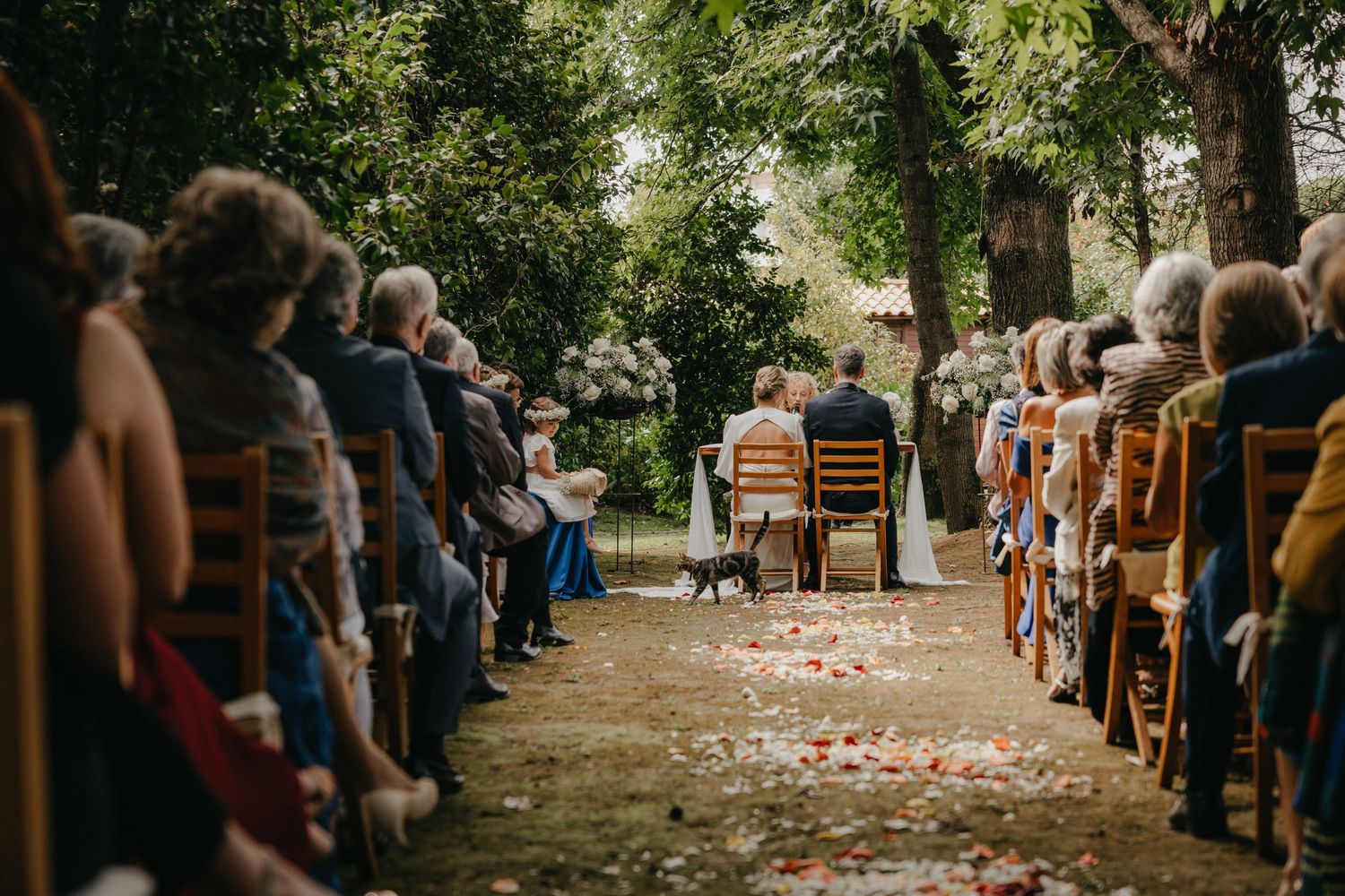 Outdoor wedding ceremony setup with wooden chairs and scattered rose petals.
