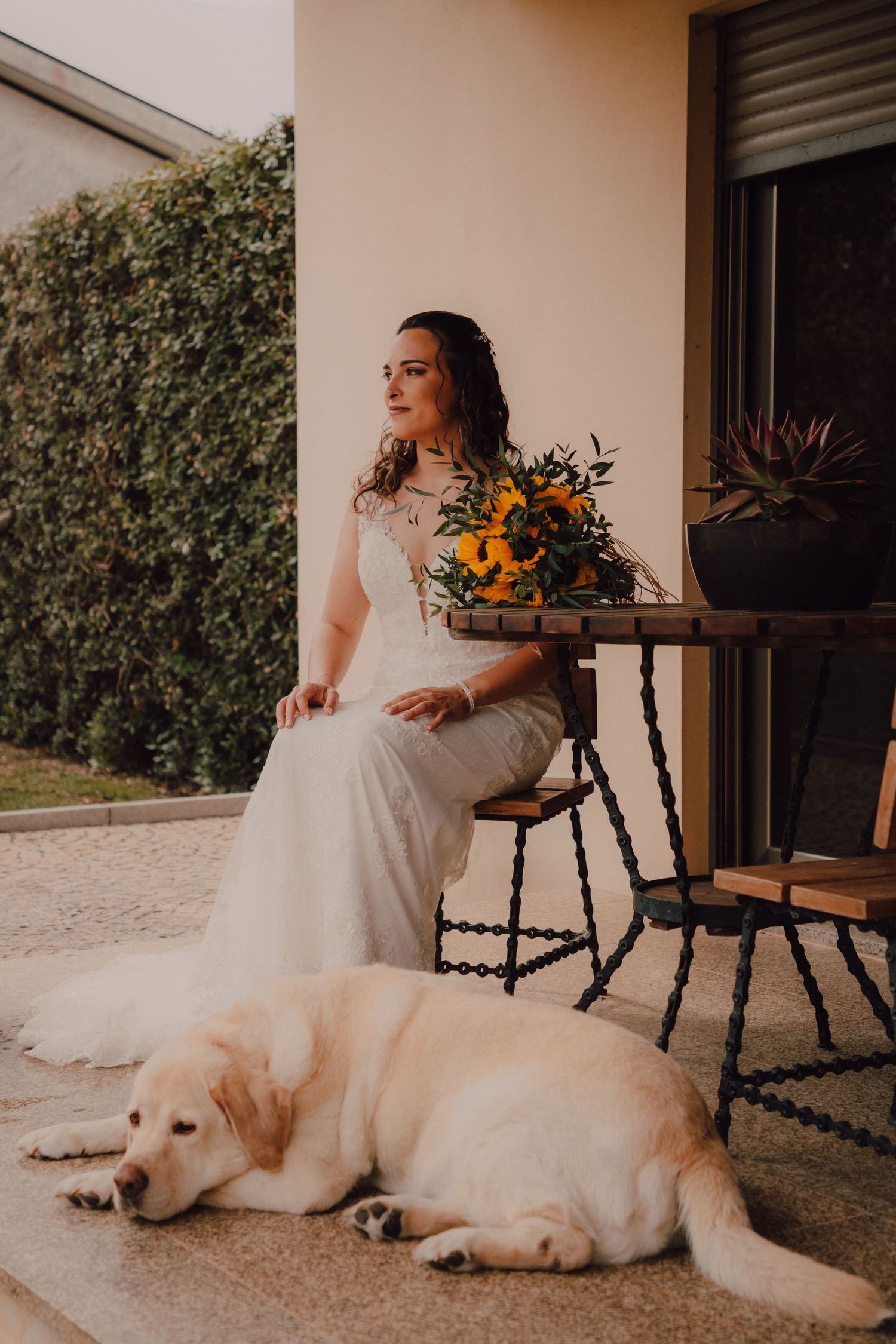 Wedding scene with white dress and yellow sunflower bouquet beside sleeping golden retriever.