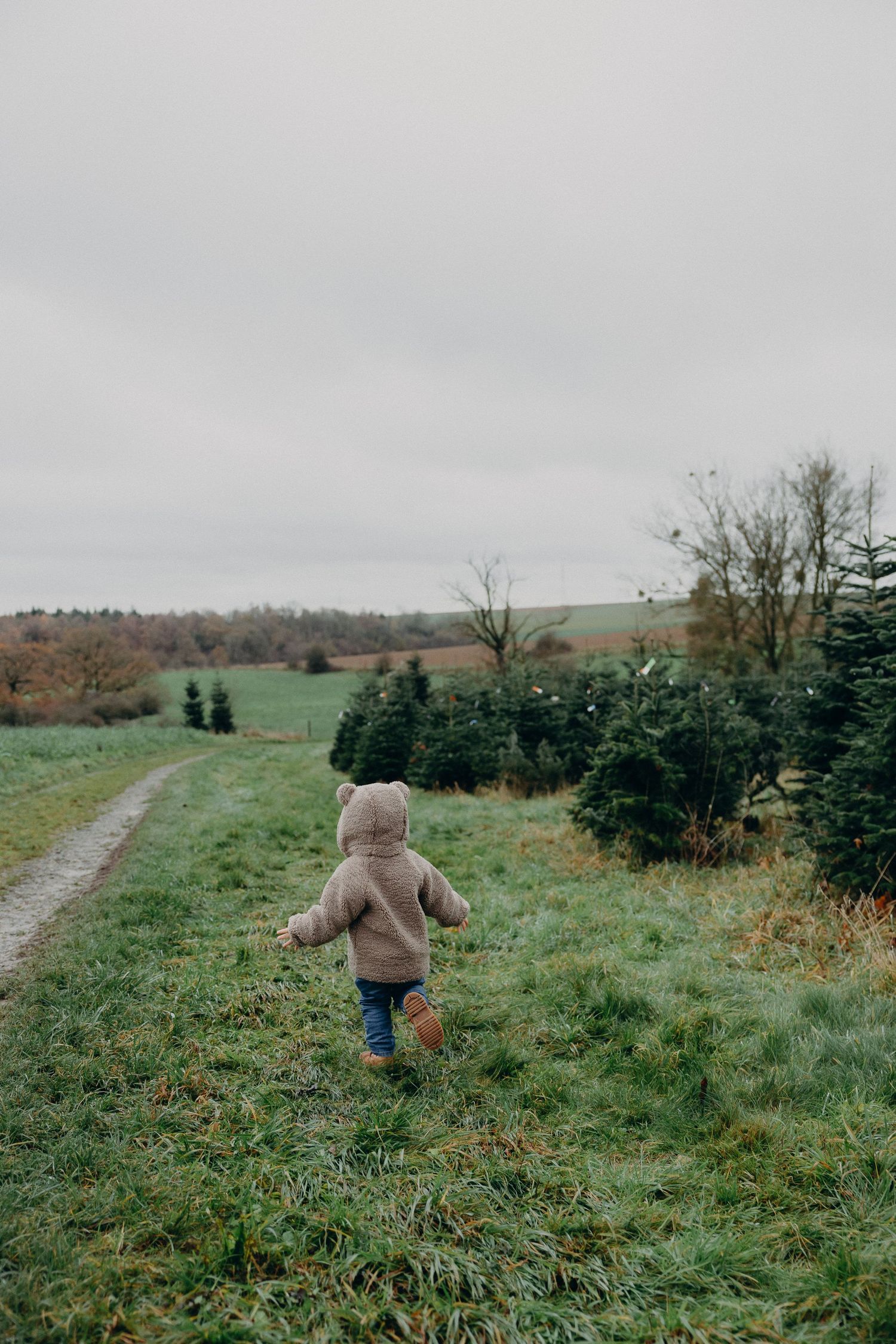 A person in a brown coat walks along a winding path through a green field with evergreen trees on a cloudy day.