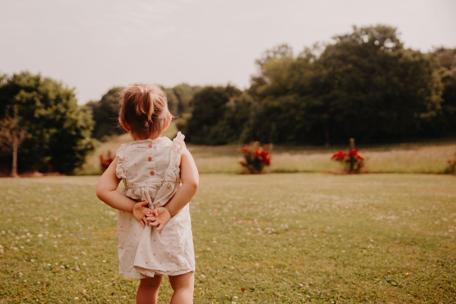 A series of romantic outdoor photos showing a couple embracing in a sunlit field at golden hour.