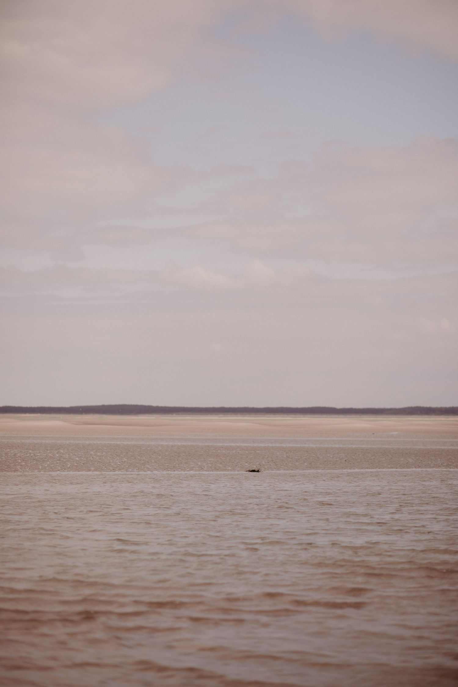 Misty seascape with brown-tinted waters stretching to a distant shoreline under an overcast sky.