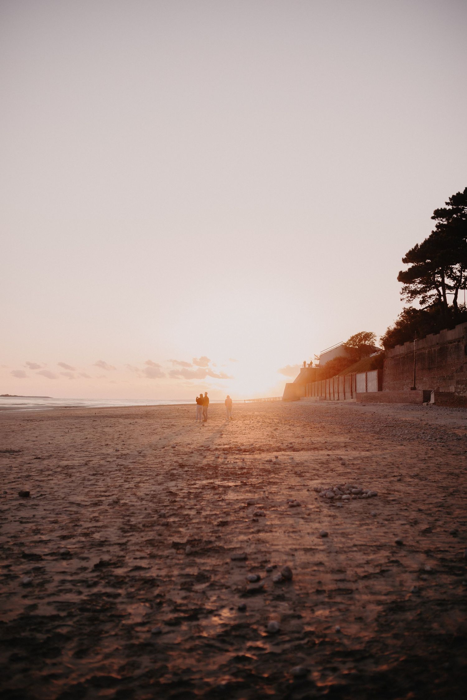 A misty golden sunset illuminates a sandy beach with silhouettes of beachgoers and trees along the coastline.
