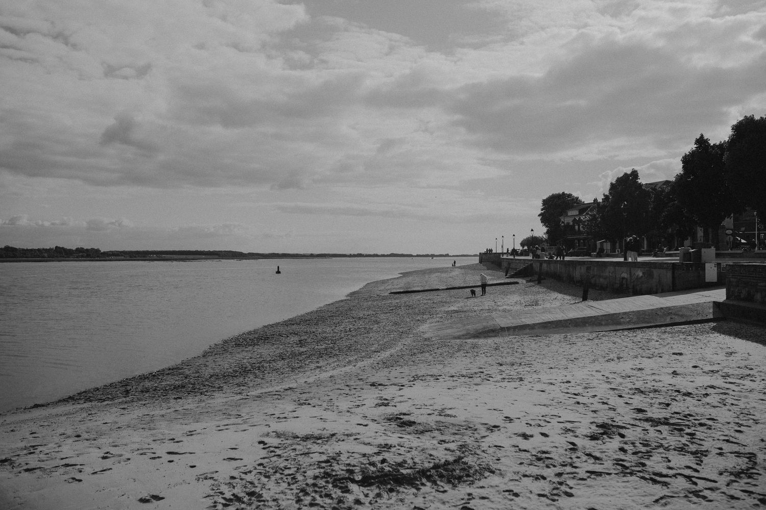 A black and white coastal landscape showing a curved beach with waterfront houses and trees along the shore.