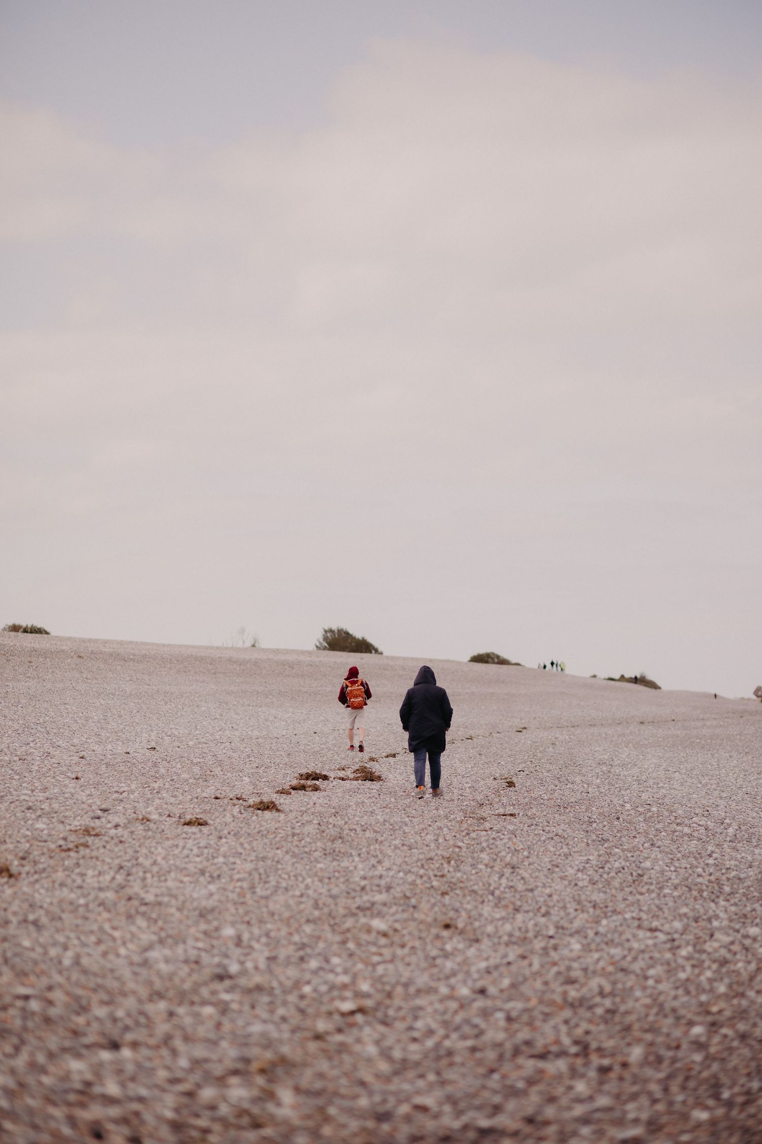 Two figures walk along a desolate rocky beach under an overcast sky on a misty day.