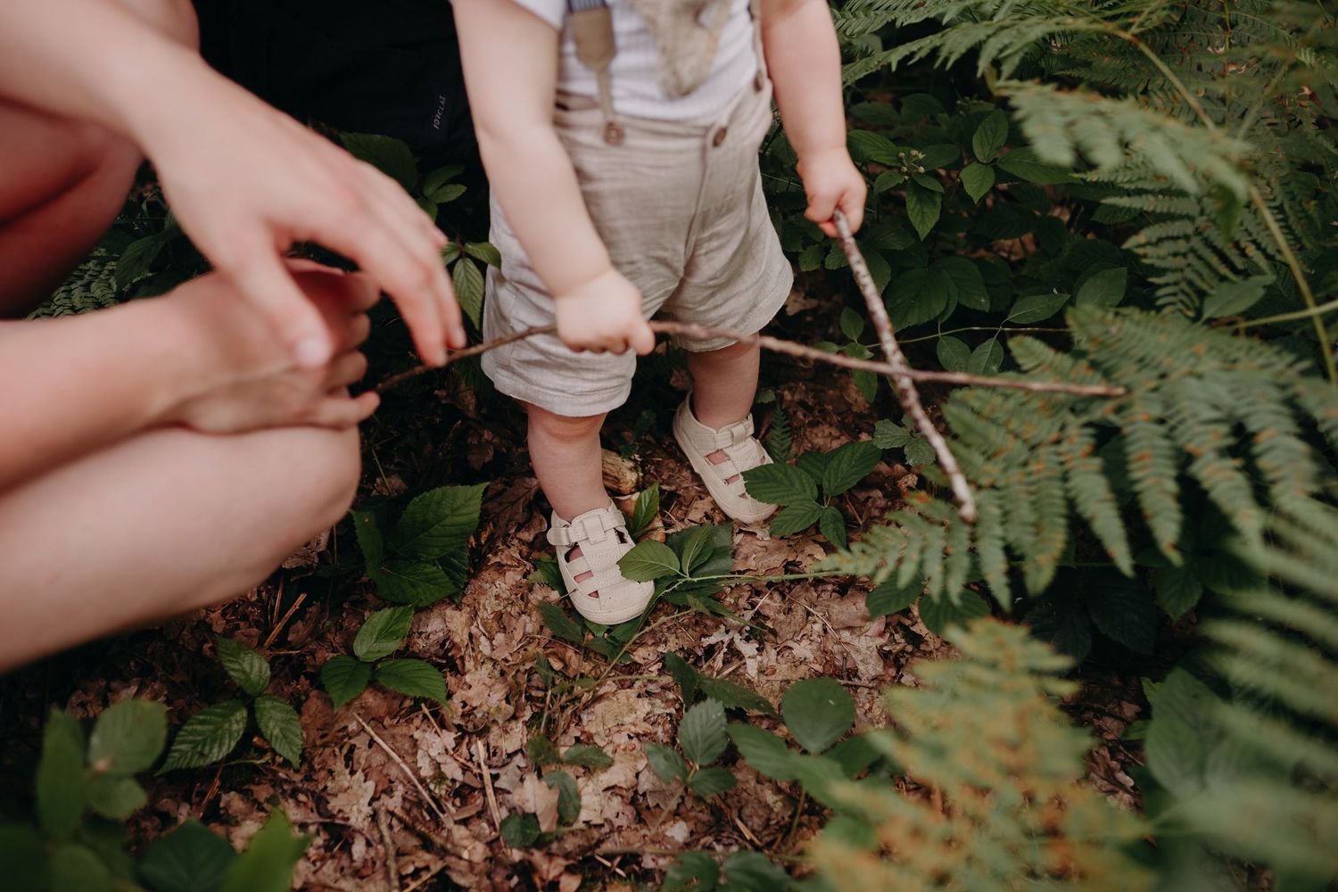 Small boots and hands explore the forest floor among lush green ferns and fallen leaves.