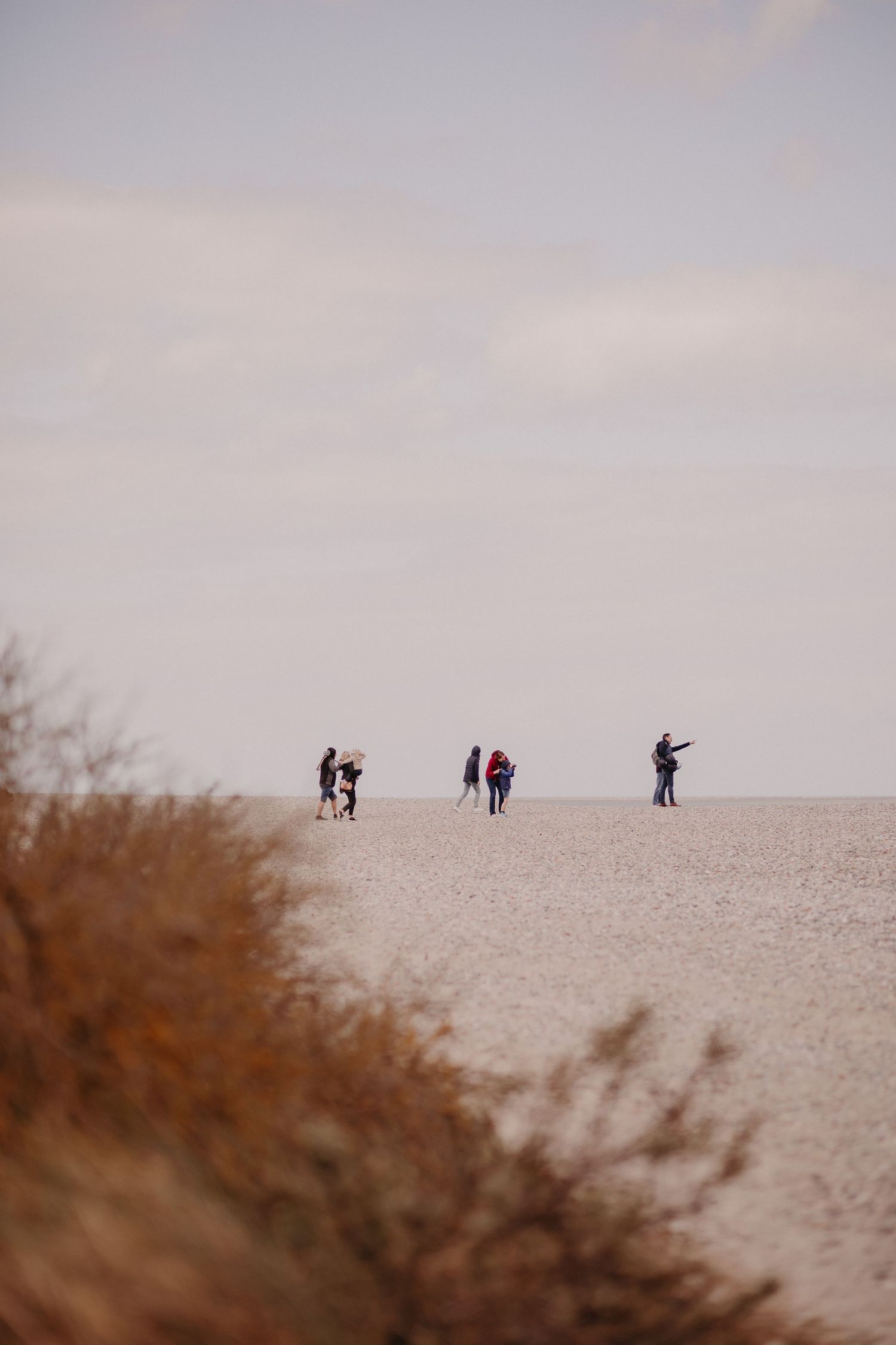 Silhouettes of people walking along a sandy beach ridge against a pastel sky during sunset.