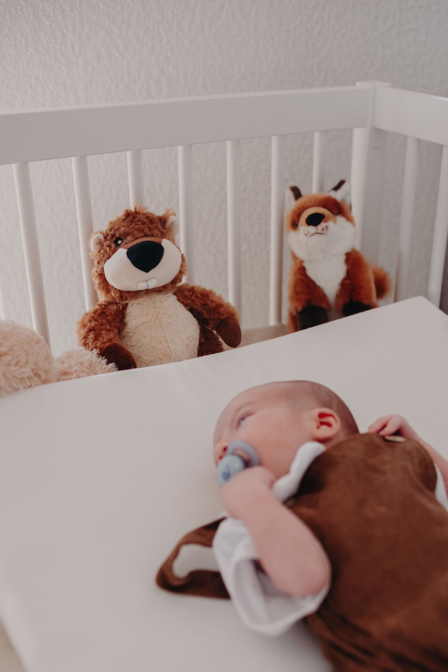 A sequence of images showing a baby sleeping in a crib surrounded by plush teddy bears and stuffed animals.
