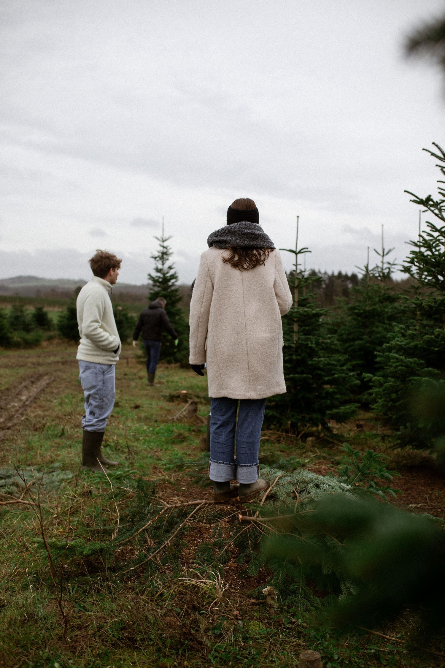 Two people explore a Christmas tree farm on an overcast day searching for the perfect evergreen tree to take home.