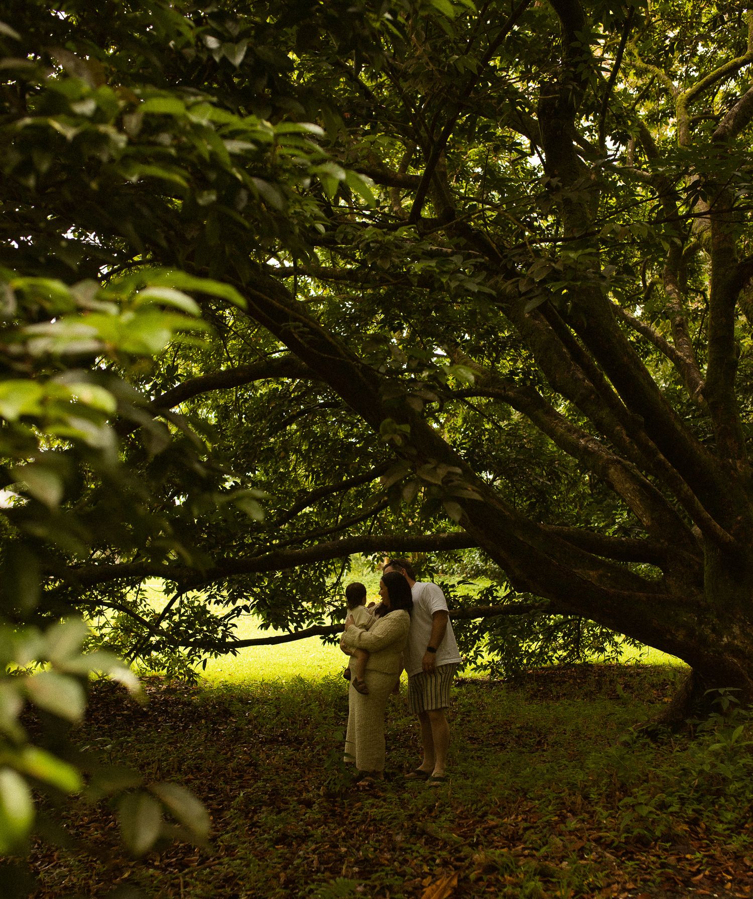 Maternity photos