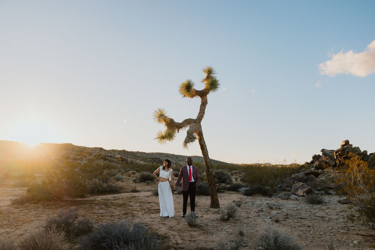 Bride and groom standing together on rocky terrain beside a Joshua tree as warm sunset light spills across the desert.