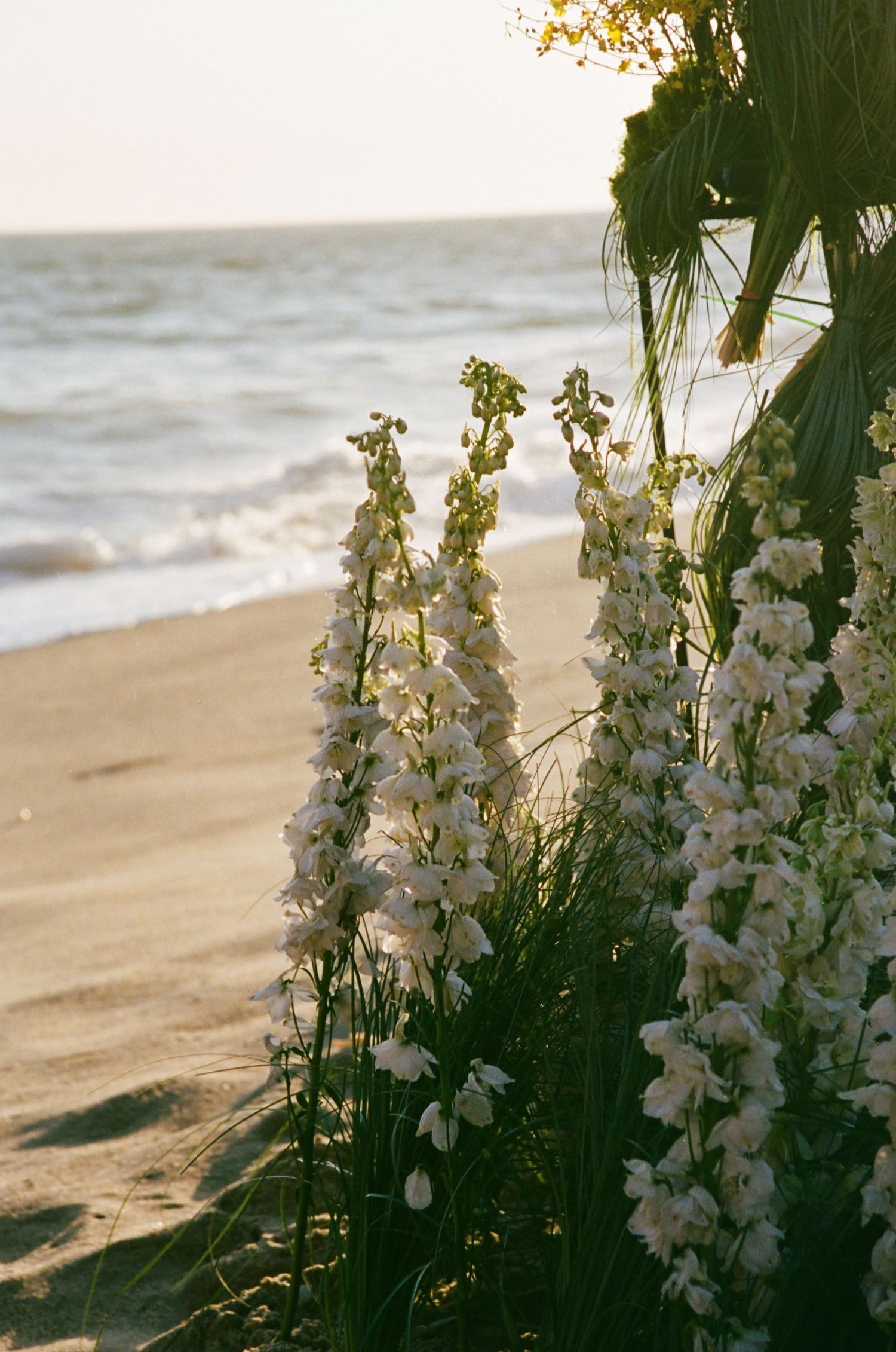 White floral arch overlooking the ocean at a beach wedding ceremony.