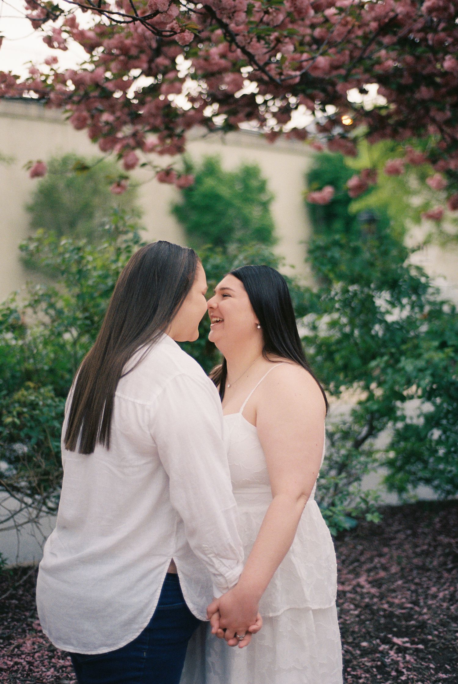 Couple sharing a kiss under blossoming trees during a city engagement session.
