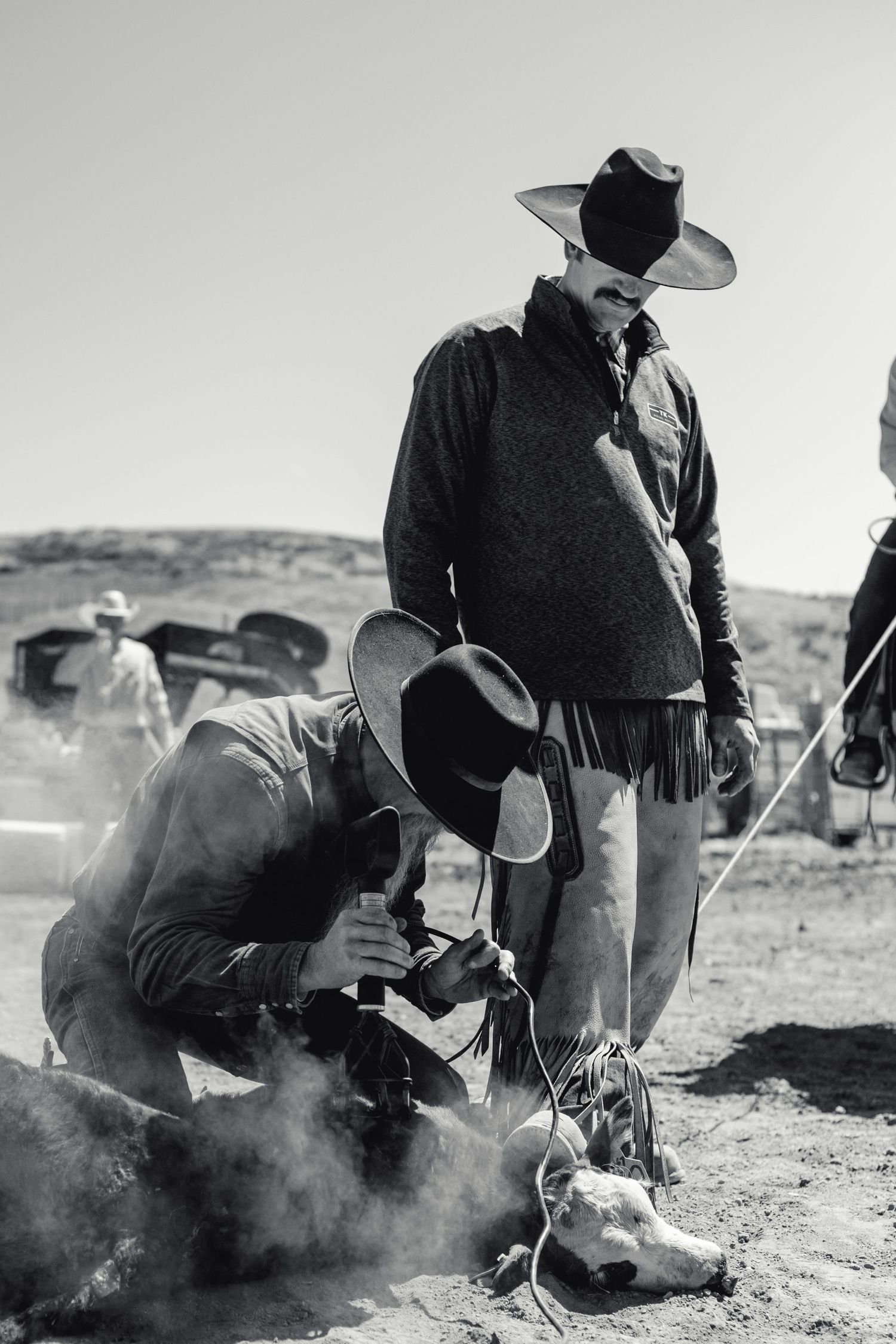 cowboys branding a calf in a black and white photo.