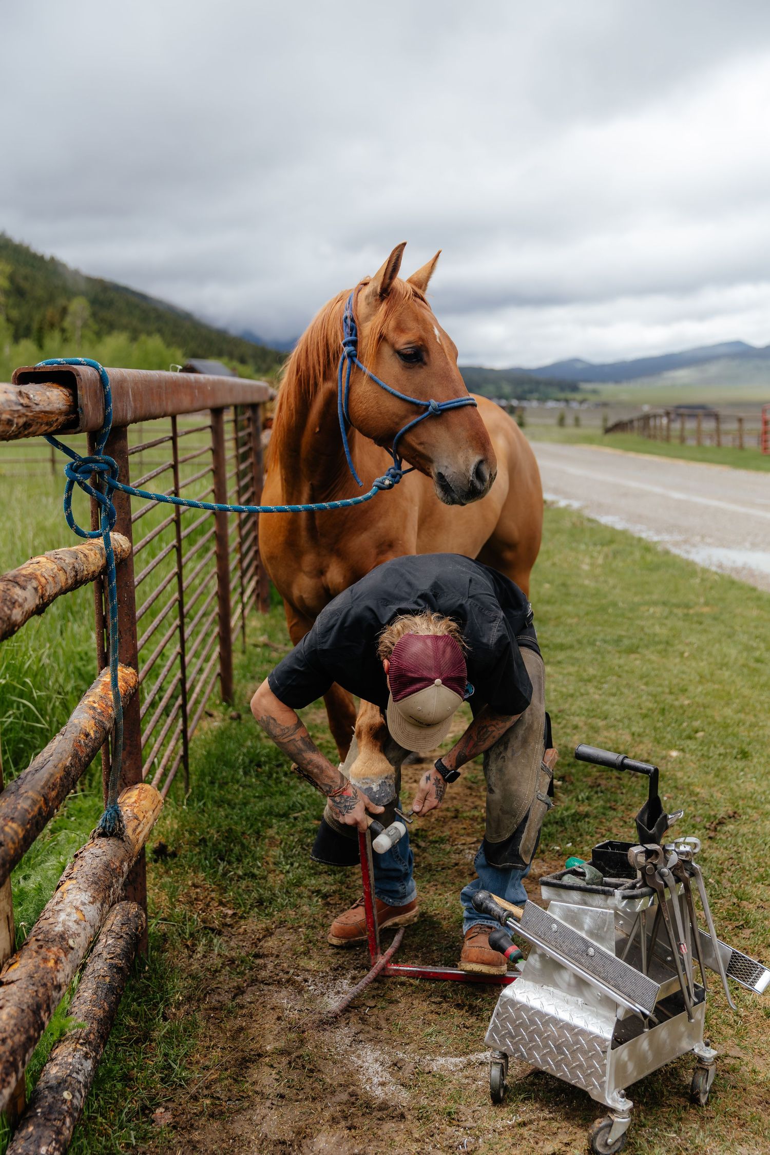 A farrier working on shoeing a horse while being photographed by a western photographer for a business and branding photoshoot.