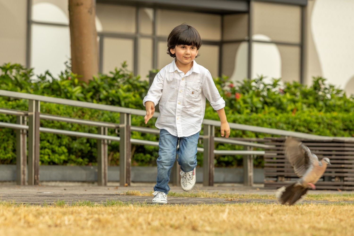 Young boy in a white shirt and jeans runs after a bird in an outdoor garden setting.