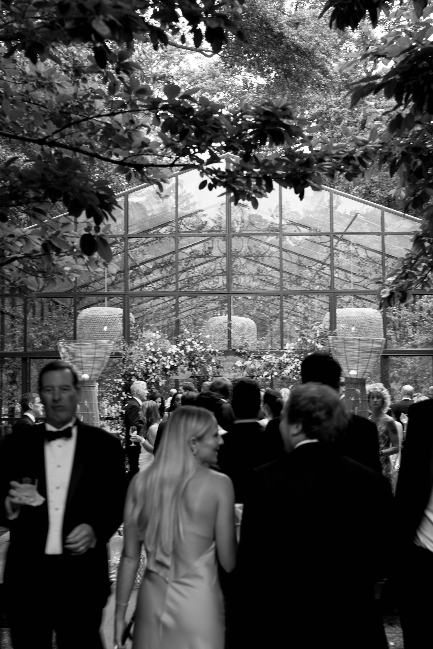 garden party glass getaway

Scotty Simpkins Photography | Wedding and Elopement Photographer in the North Alabama, Nashville, and Southeast