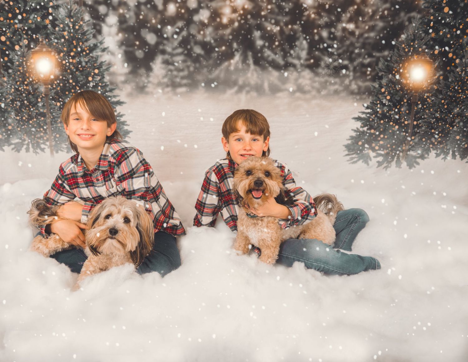 Two children in matching plaid shirts sit in artificial snow with small dogs while warm lights glow in the background.