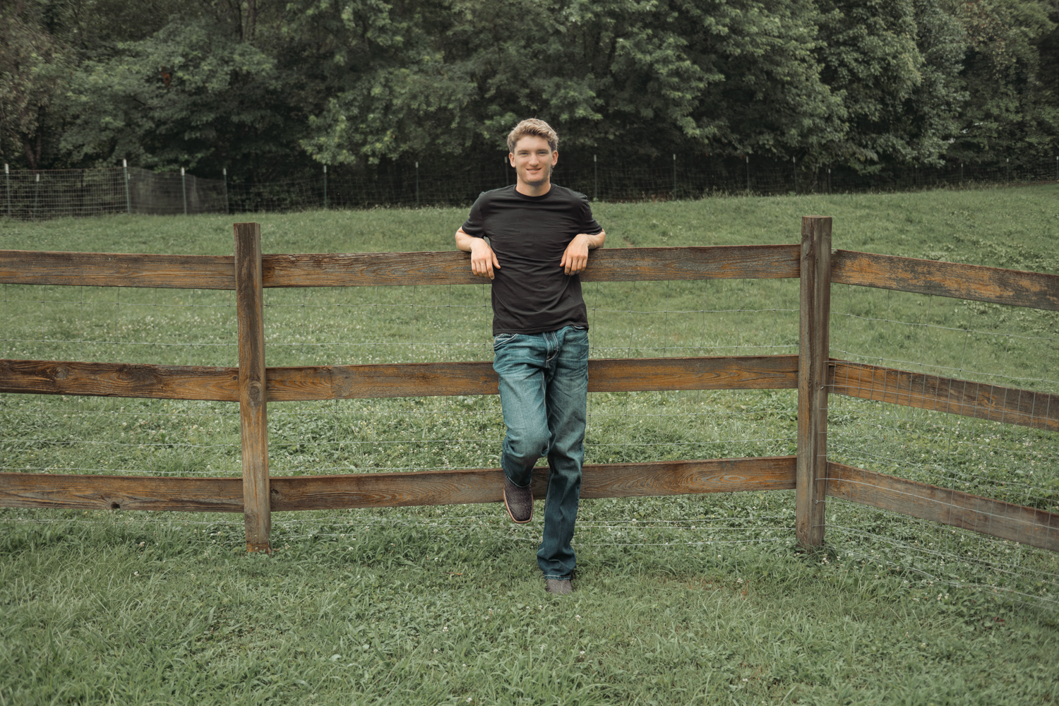 A panoramic series of fence posts in a green field creates a curved leading line into the distance.