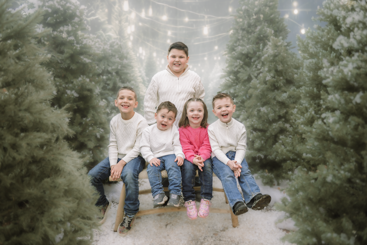 A group sits together on a fallen tree trunk in a misty evergreen forest setting during a family photo session.