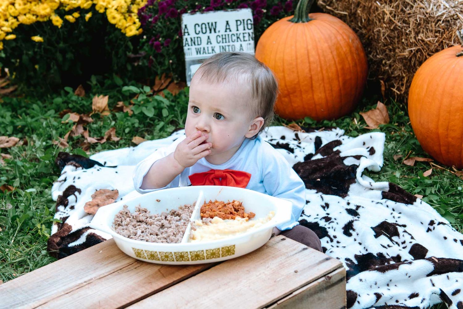 A messy autumn cake smashing scene with pumpkins and scattered crumbs on a wooden table outdoors.
