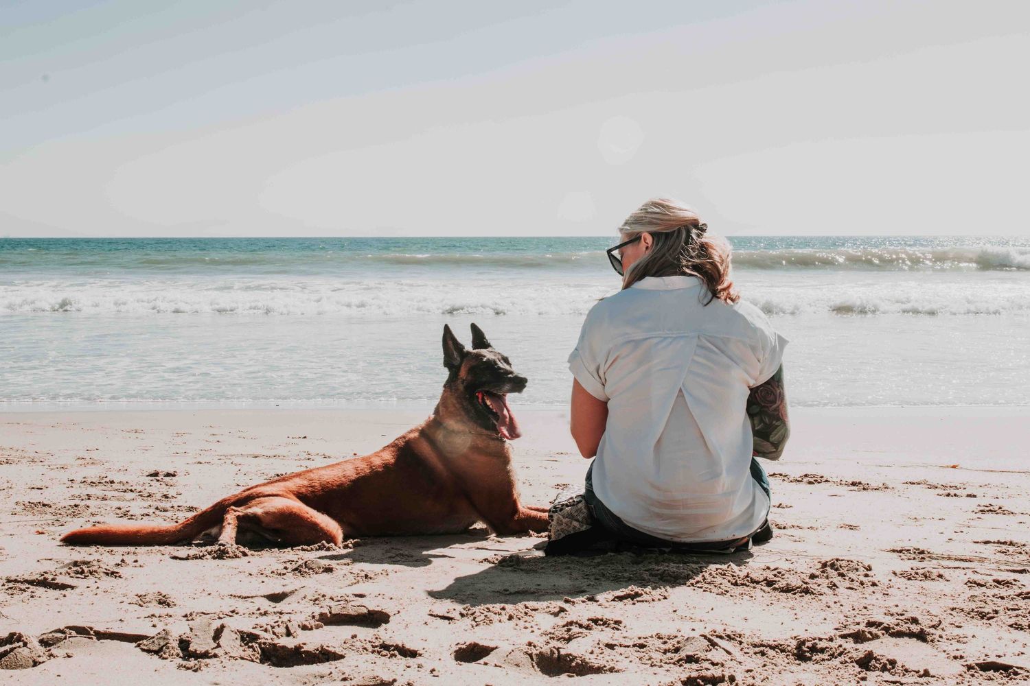 A brown dog and someone sitting together on a sandy beach watching the ocean waves roll in.