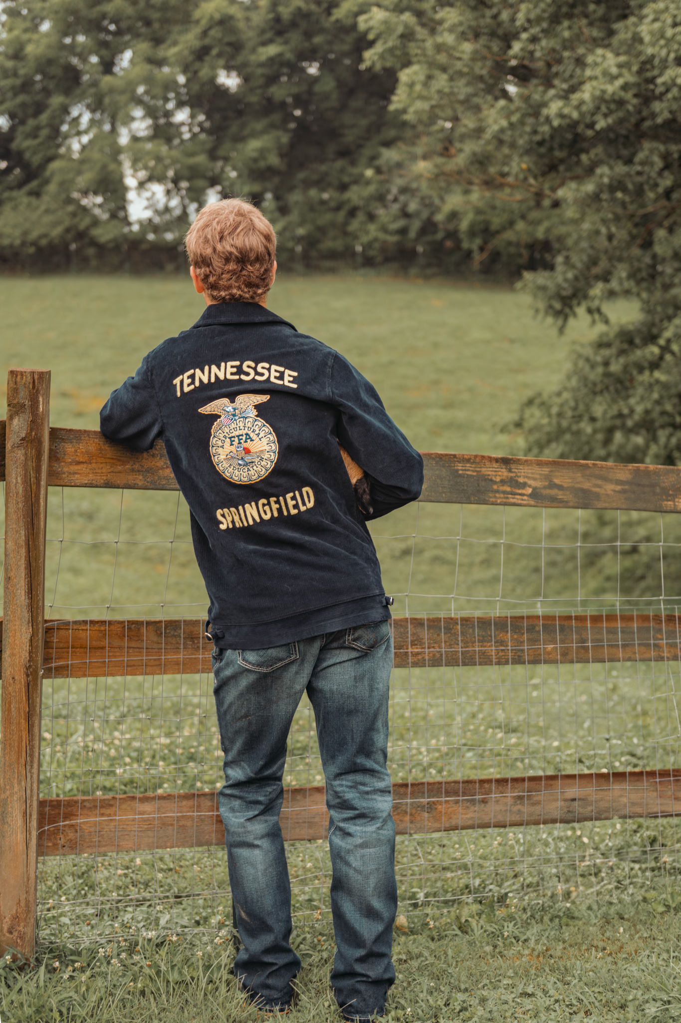 Three rustic photos of a child in jeans and FFA jacket leaning on a wooden fence in a grassy country setting.