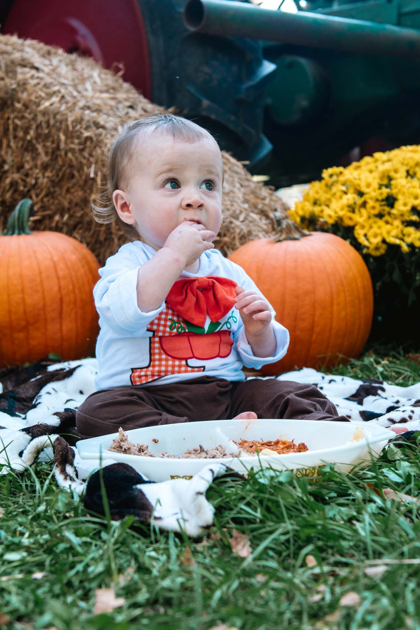Small child sitting on grass with pumpkins and yellow mums in background during autumn photo session.