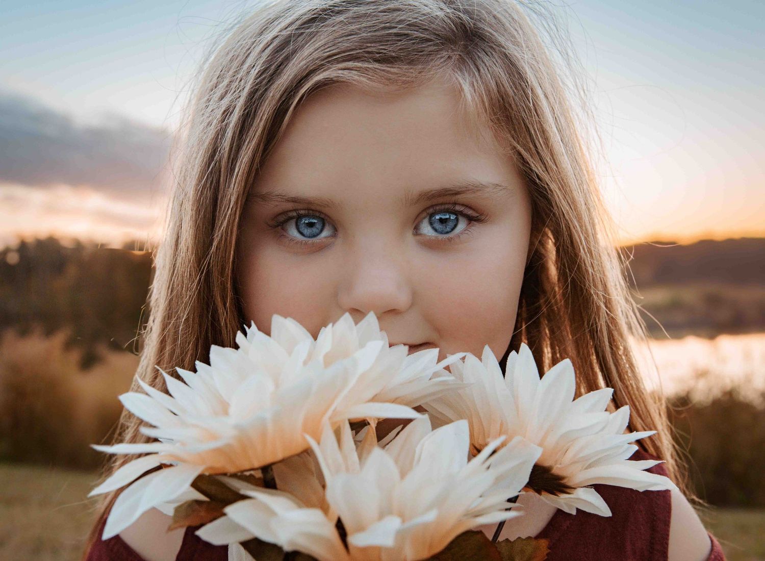 White daisies in the foreground frame the scene against a warm sunset sky and fields.