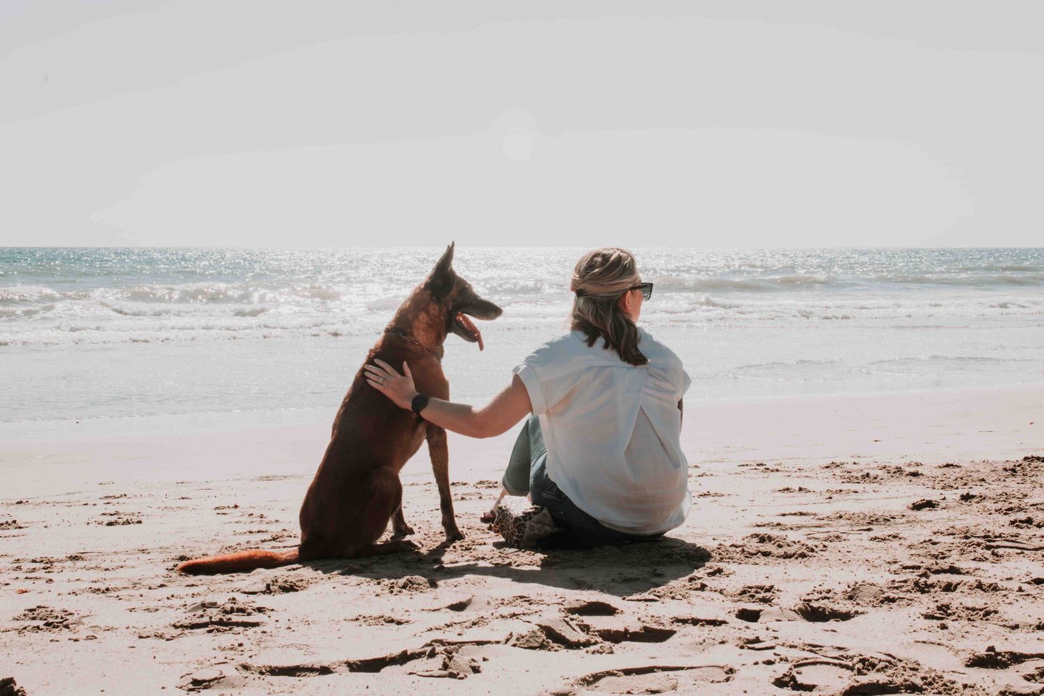 A loyal dog sits next to their companion on a peaceful beach at sunset while looking out at the ocean waves.