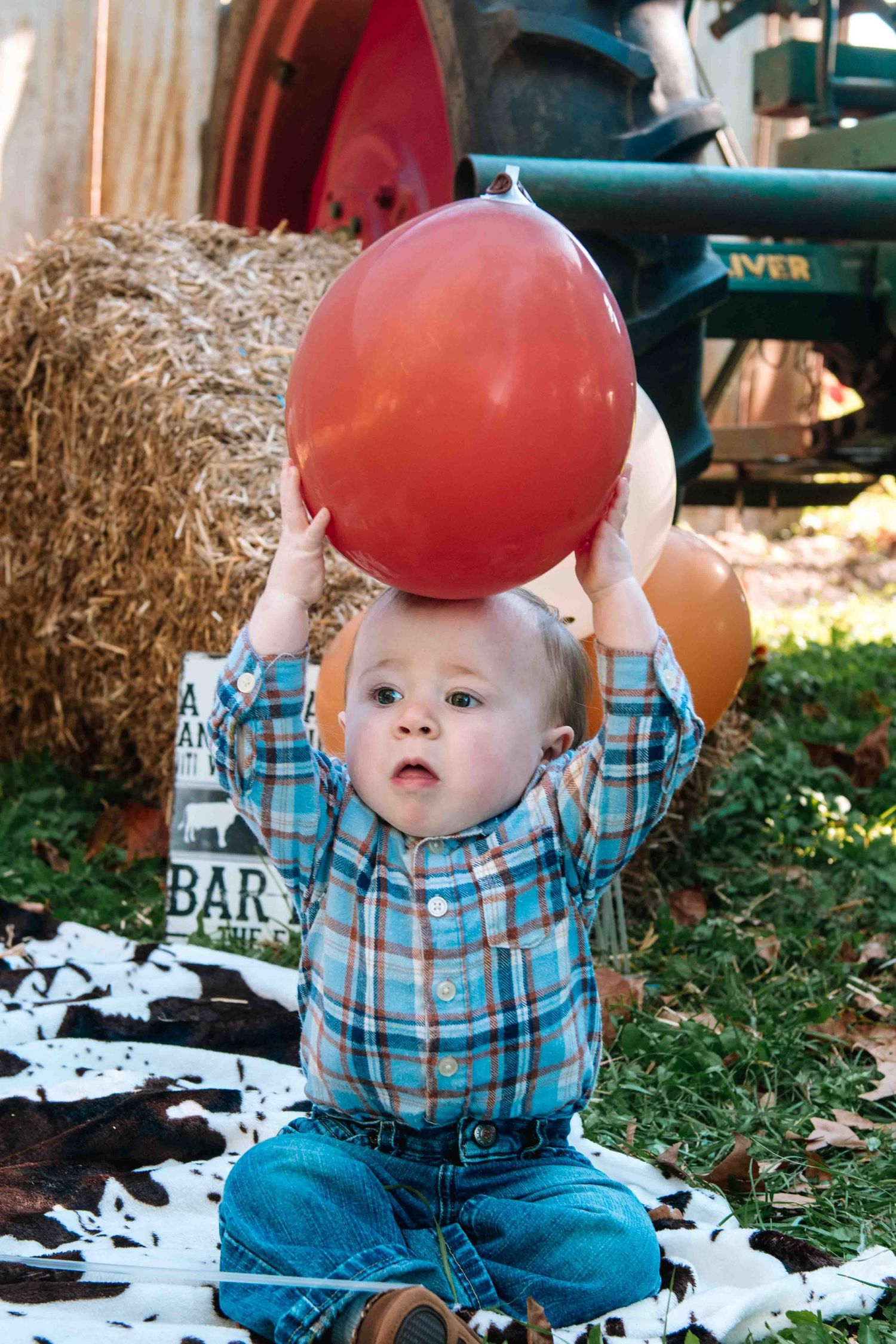 Small child in plaid shirt and jeans holds up large red balloon while sitting on blanket near hay bale outdoors.