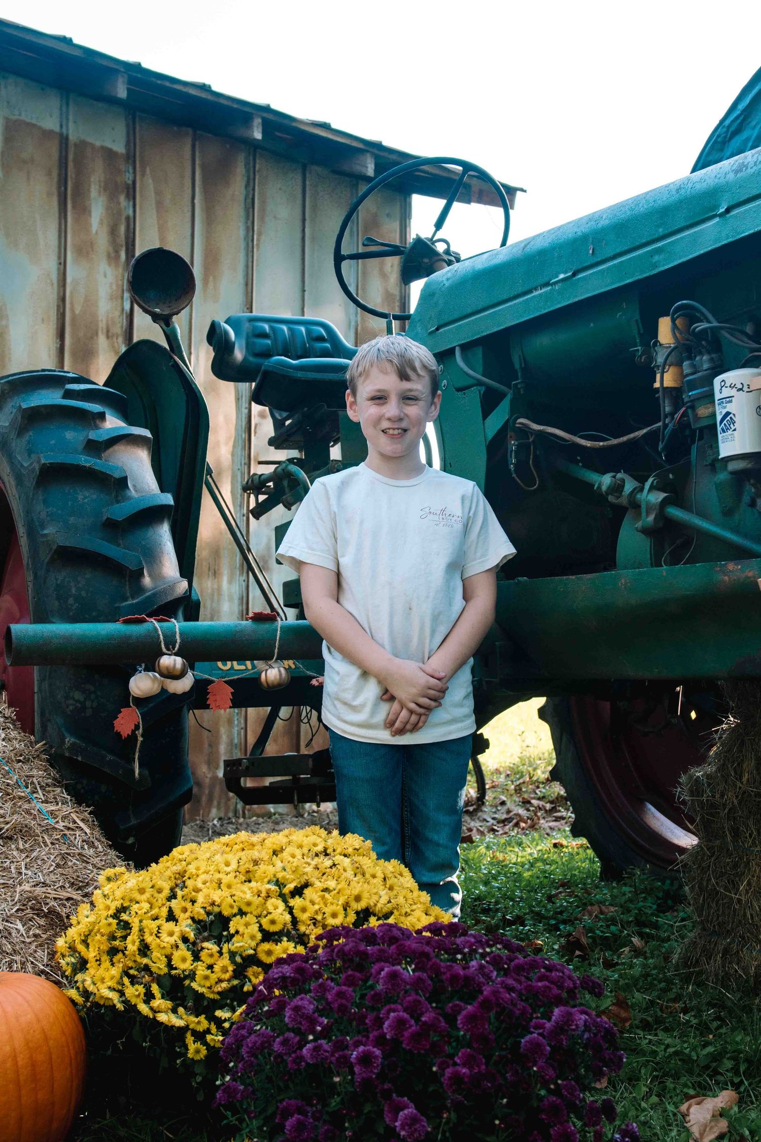 Green vintage tractor parked next to colorful fall mums and a pumpkin on farm setting.