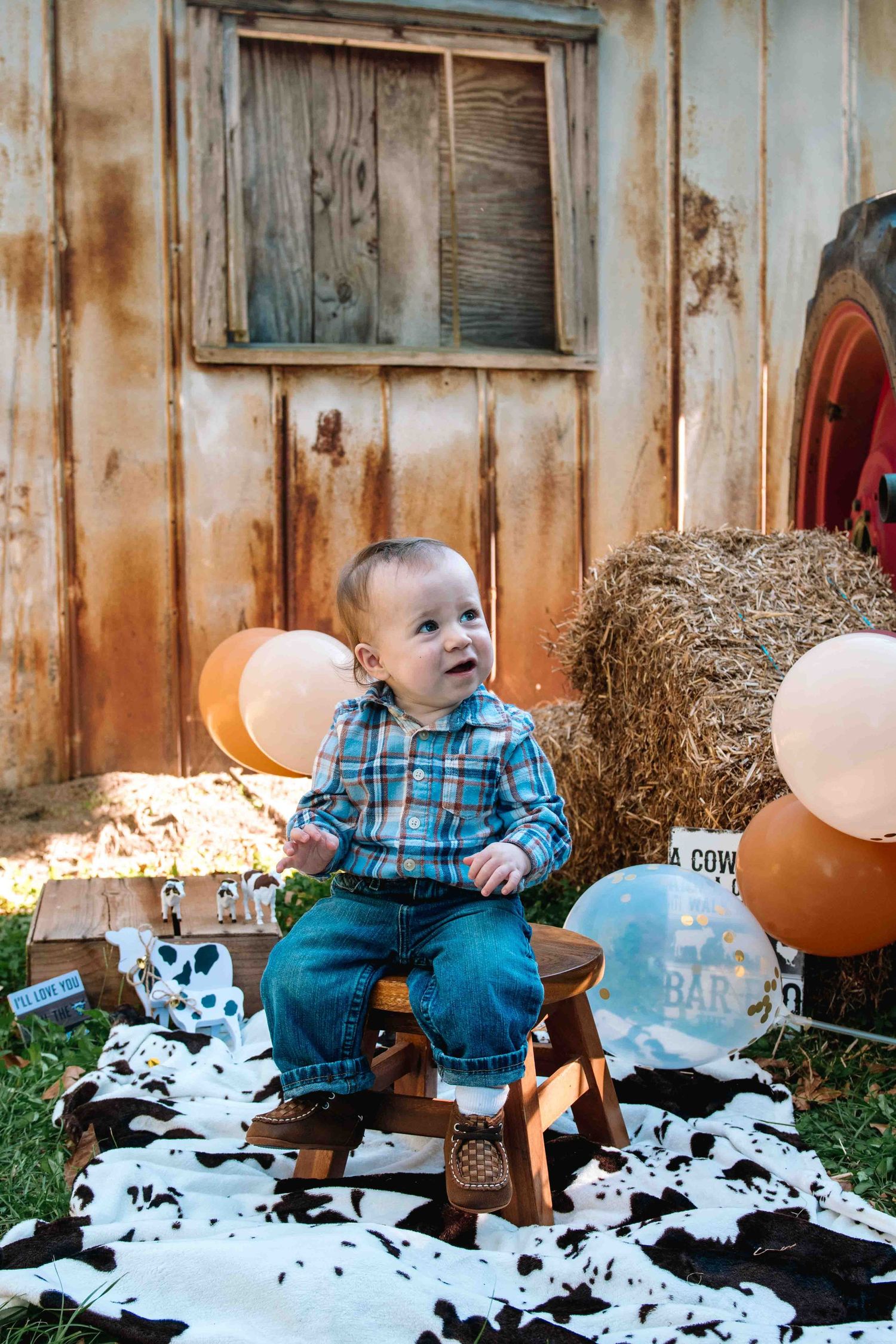 A small child sits on a wooden rocker surrounded by balloons and cow print backdrop in a rustic barn setting.