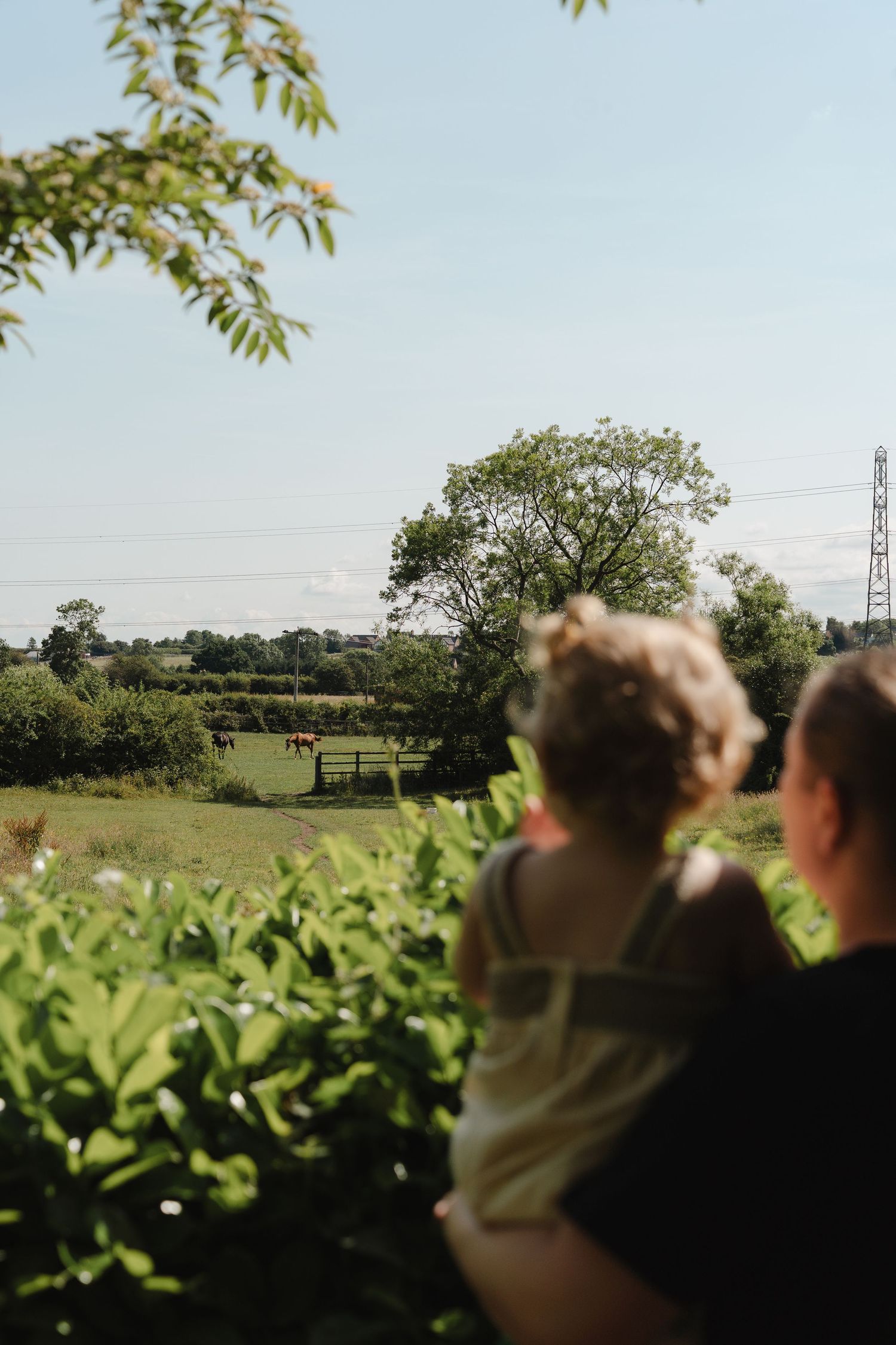 Two people sit overlooking a lush green countryside field with grazing horses and trees on a sunny day.