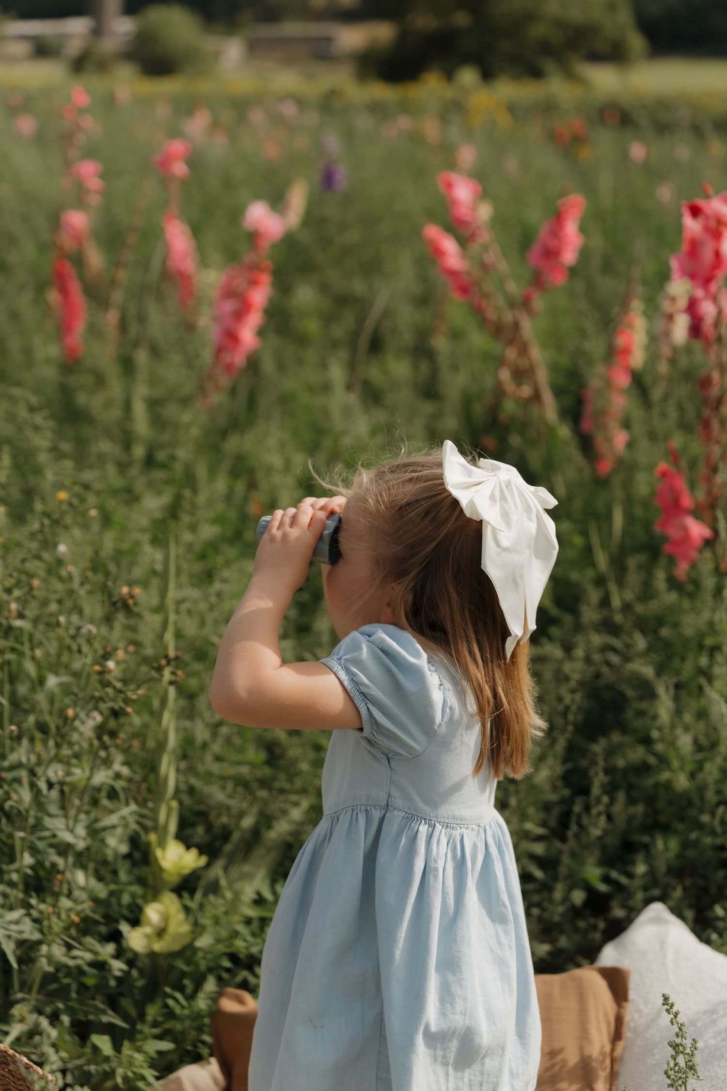 Young girl in blue dress with white bow looks through binoculars in a vibrant field of pink flowers.