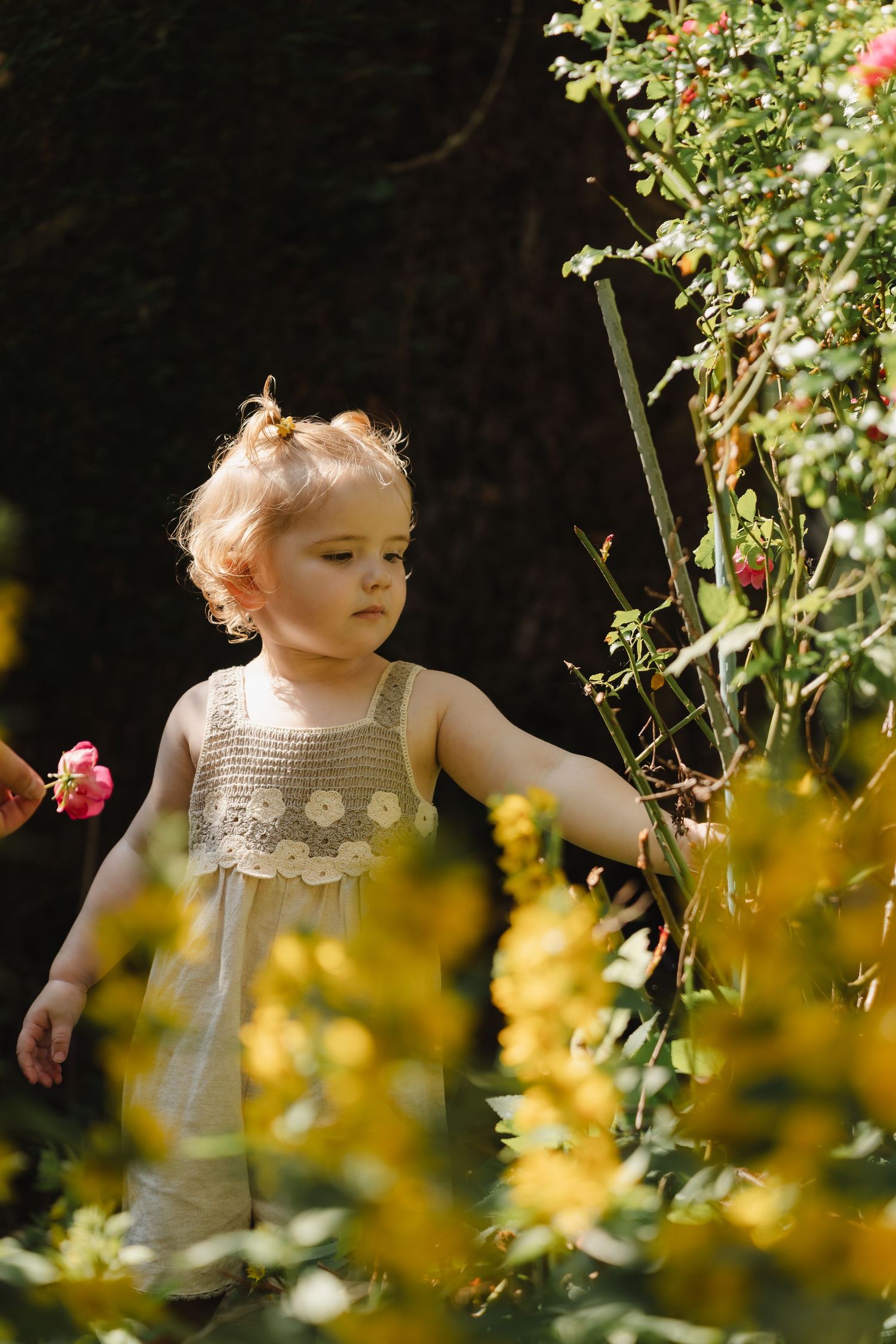 A child explores a garden filled with blooming yellow and pink flowers on a sunny summer day.