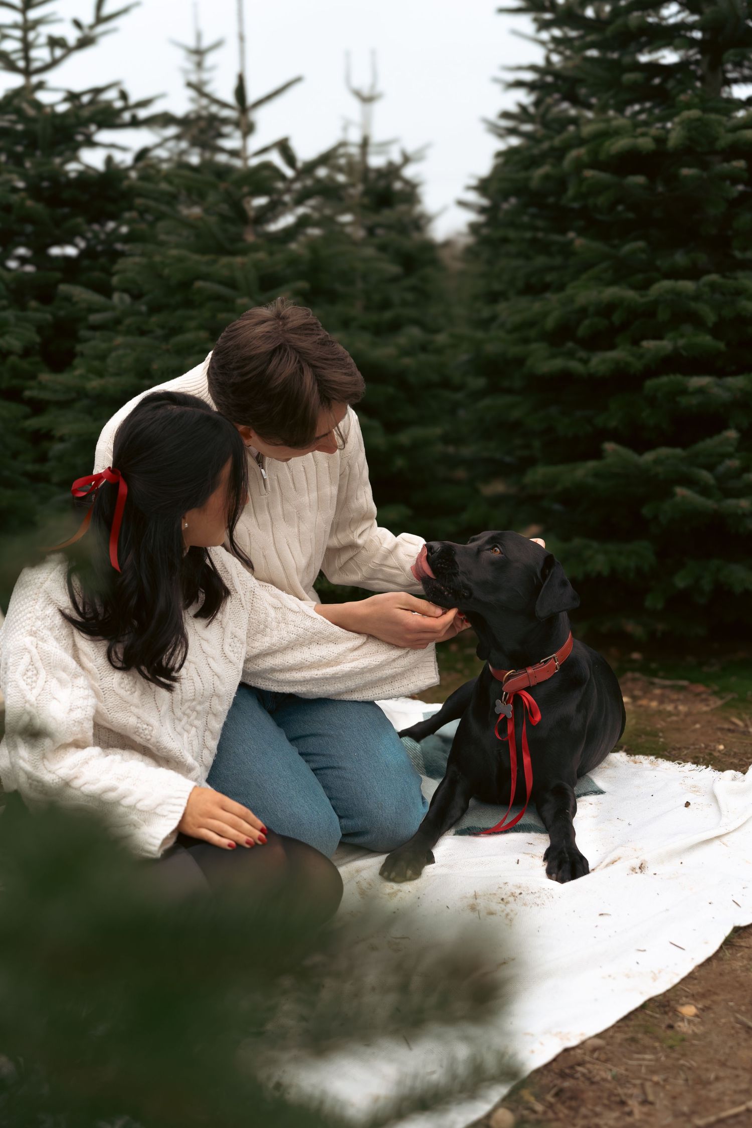 Two people sit together on a white blanket among evergreen trees in winter.