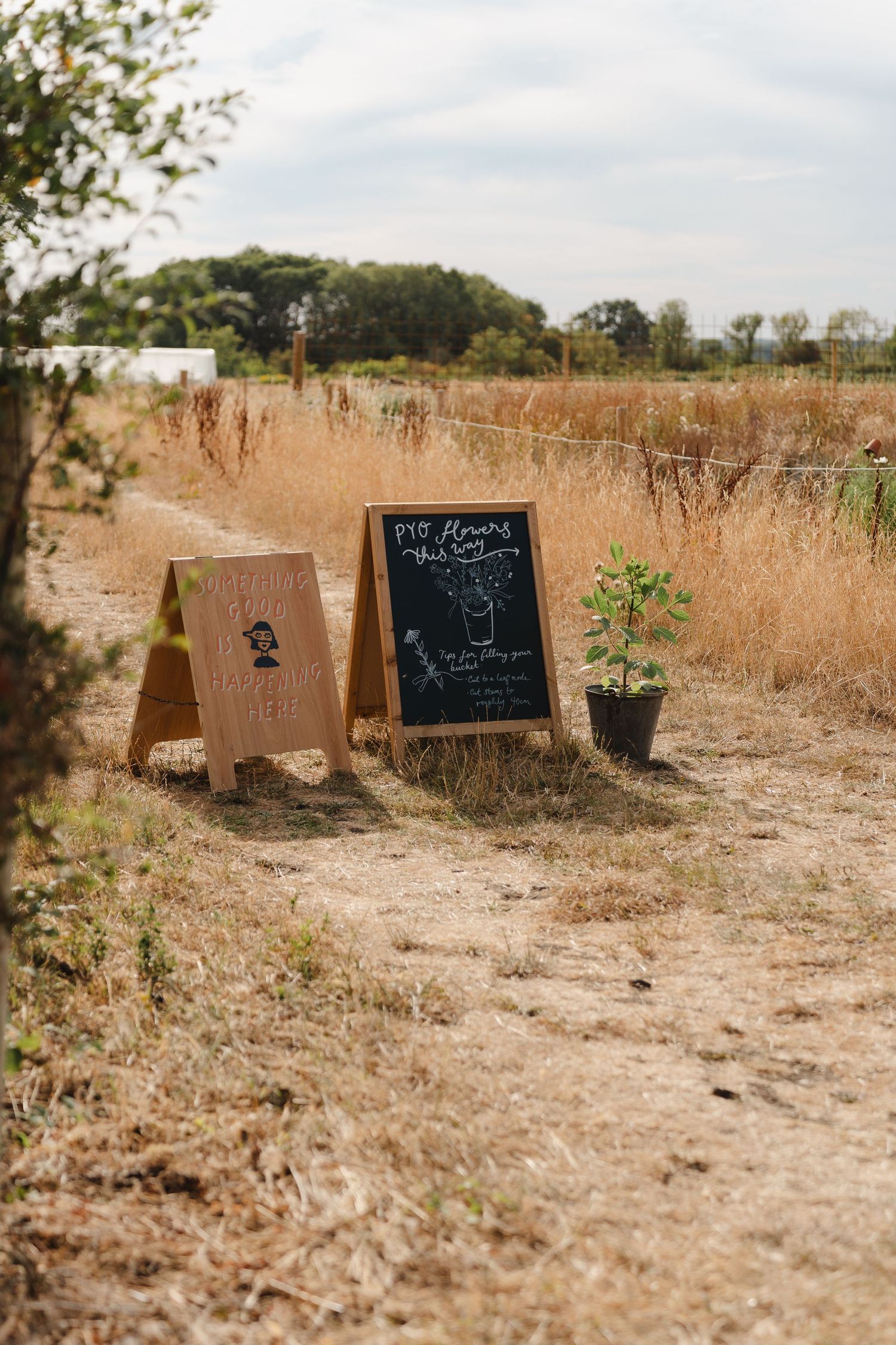 Rustic chalkboard and wooden A-frame signs in a dry field at an outdoor farm market.