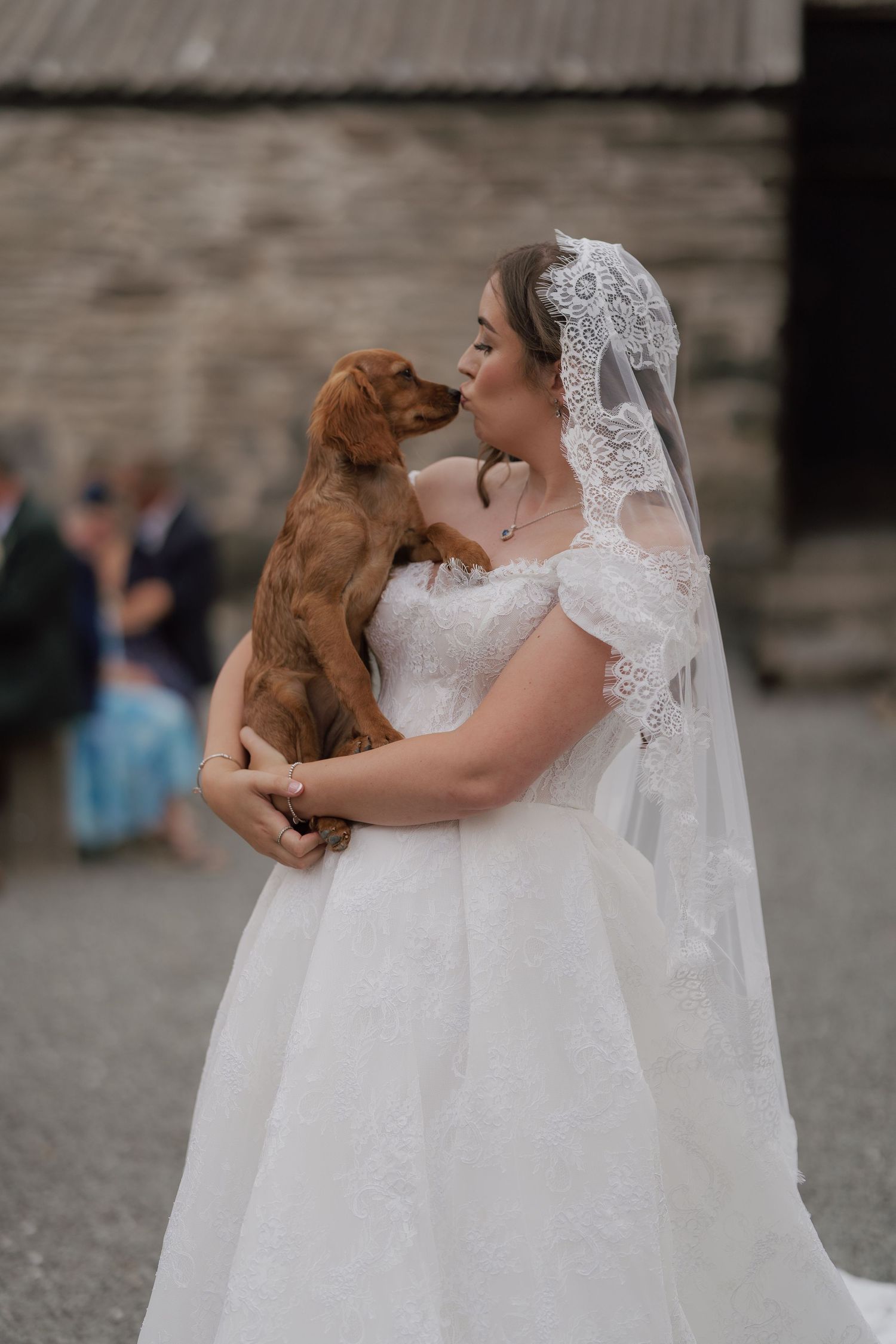 Bride in white lace gown and veil holding a brown puppy who gives her a kiss on her wedding day.